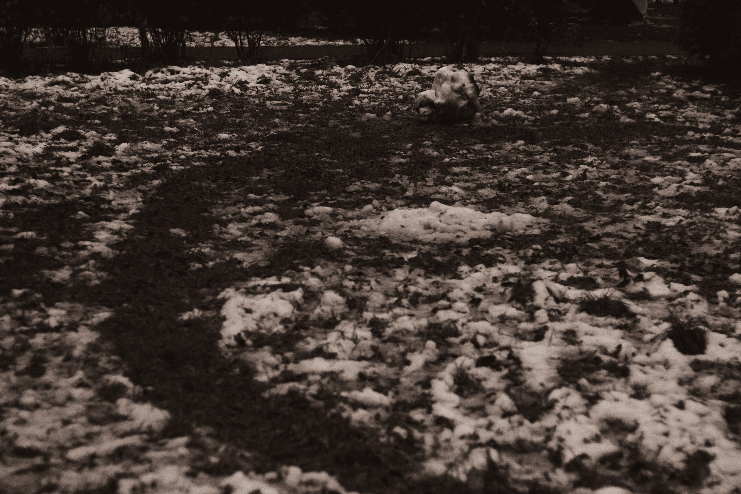 Осень-зима. Фотограф Москва, портрет, стрит, репортаж. Художественная фотосессия