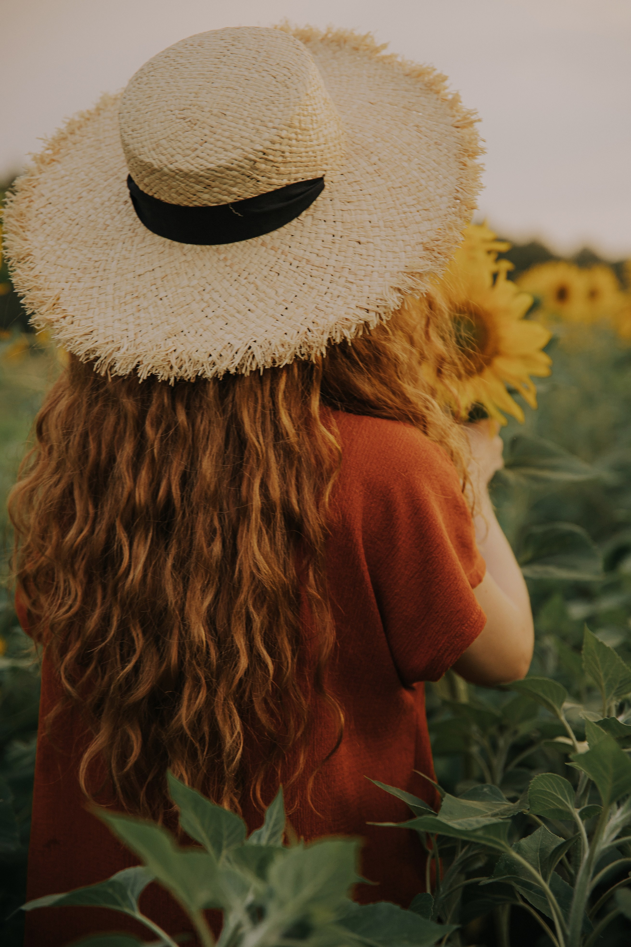 Лена и подсолнухи. Семейный и свадебный фотограф в Челябинске Юлия Софьина