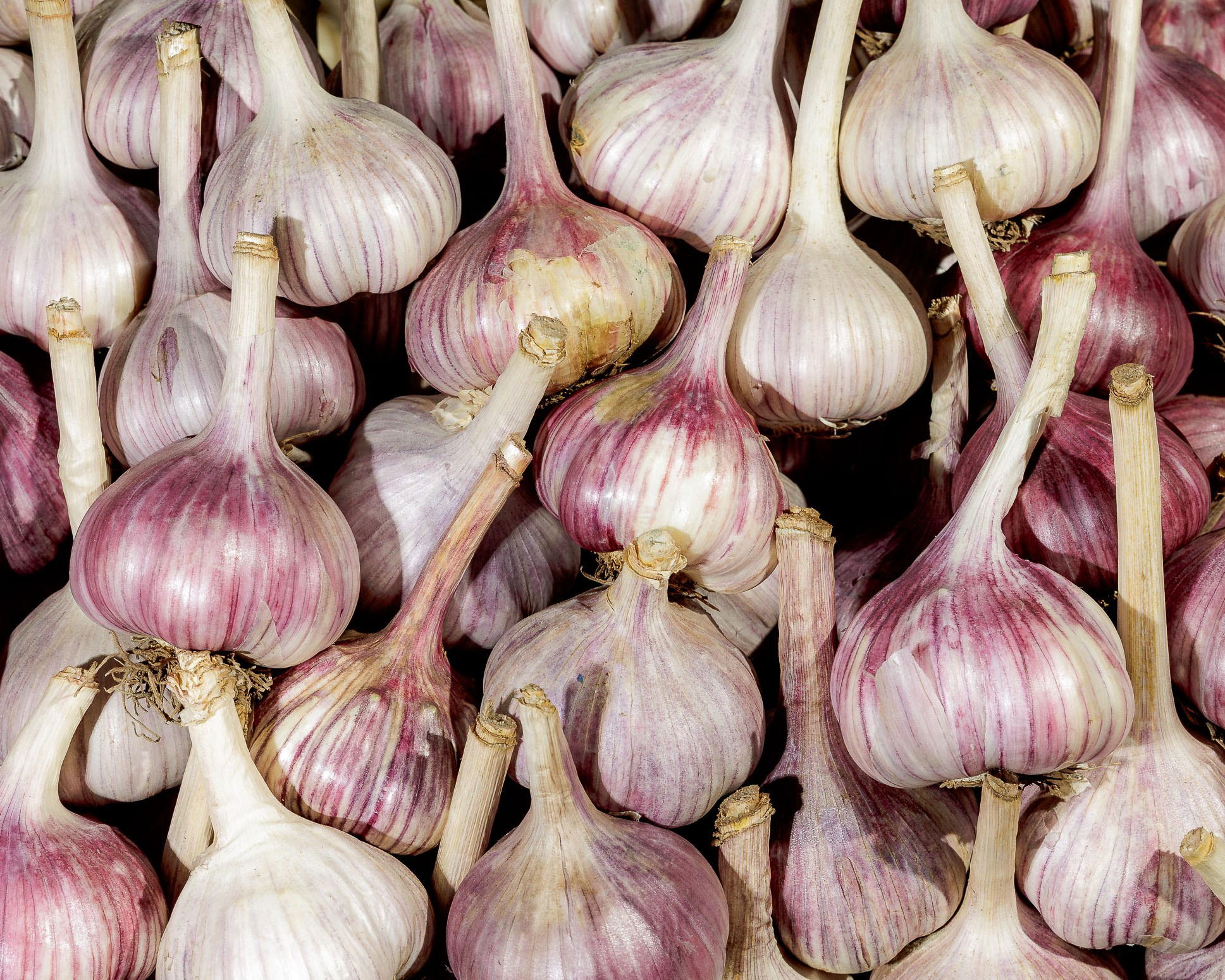 Саша Ковальчук — Репортажный Фотограф