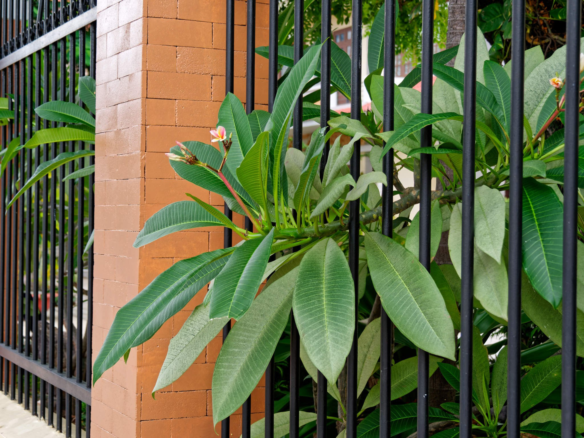 Нячанг 2023. Избранные фотографии