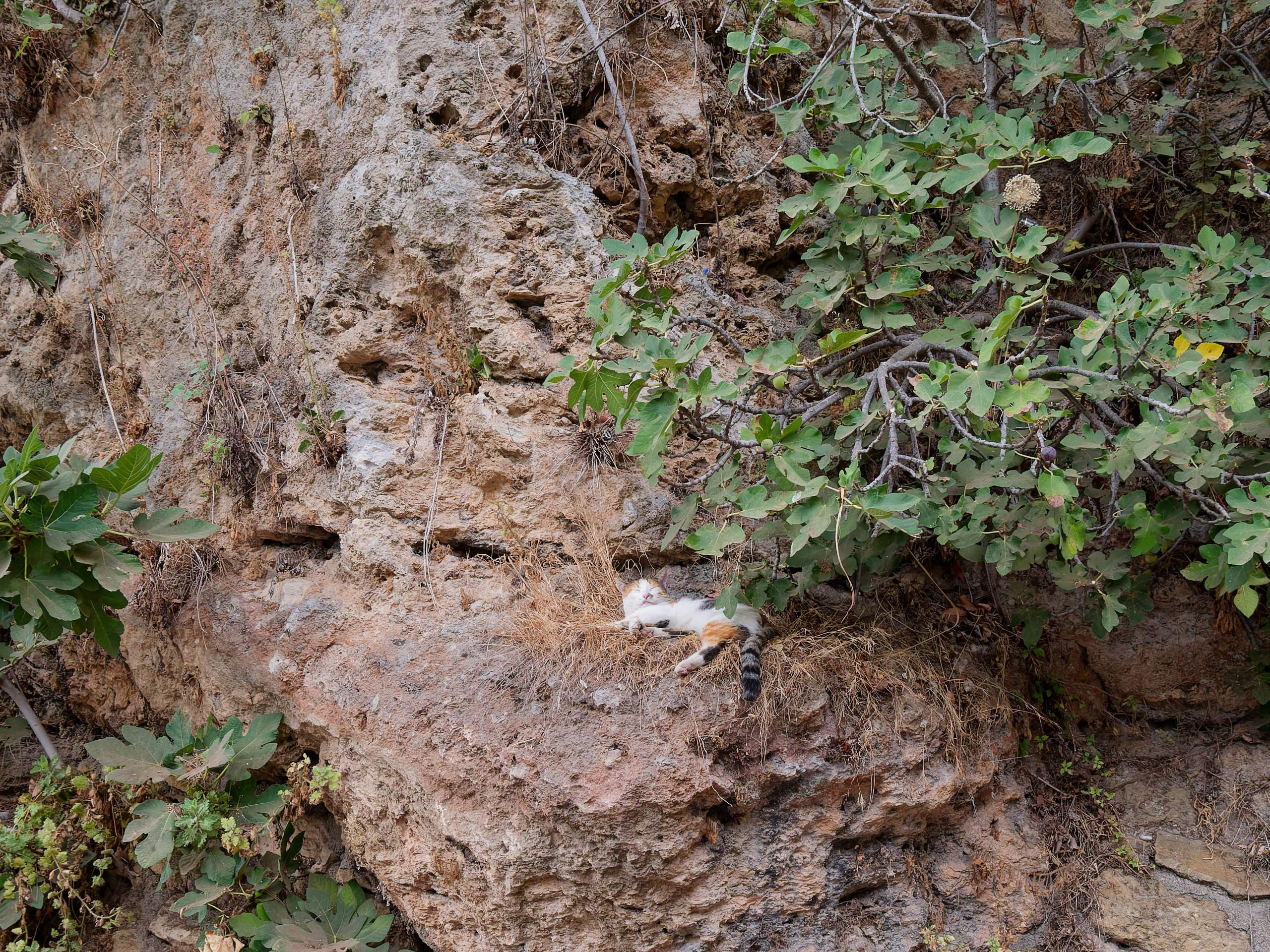 Анталия 2025, стрит-фото. Избранные фотографии