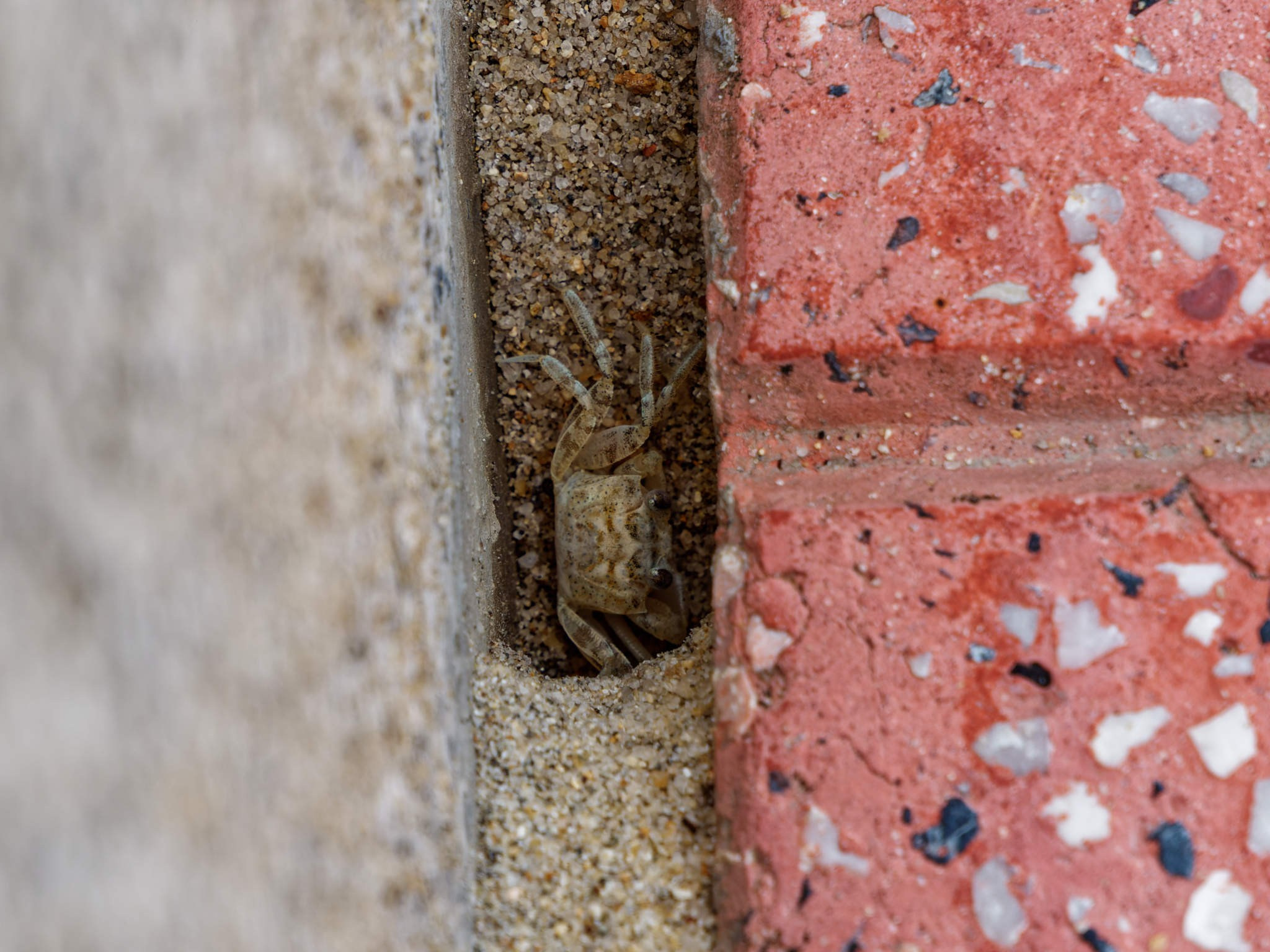 Нячанг 2023. Избранные фотографии