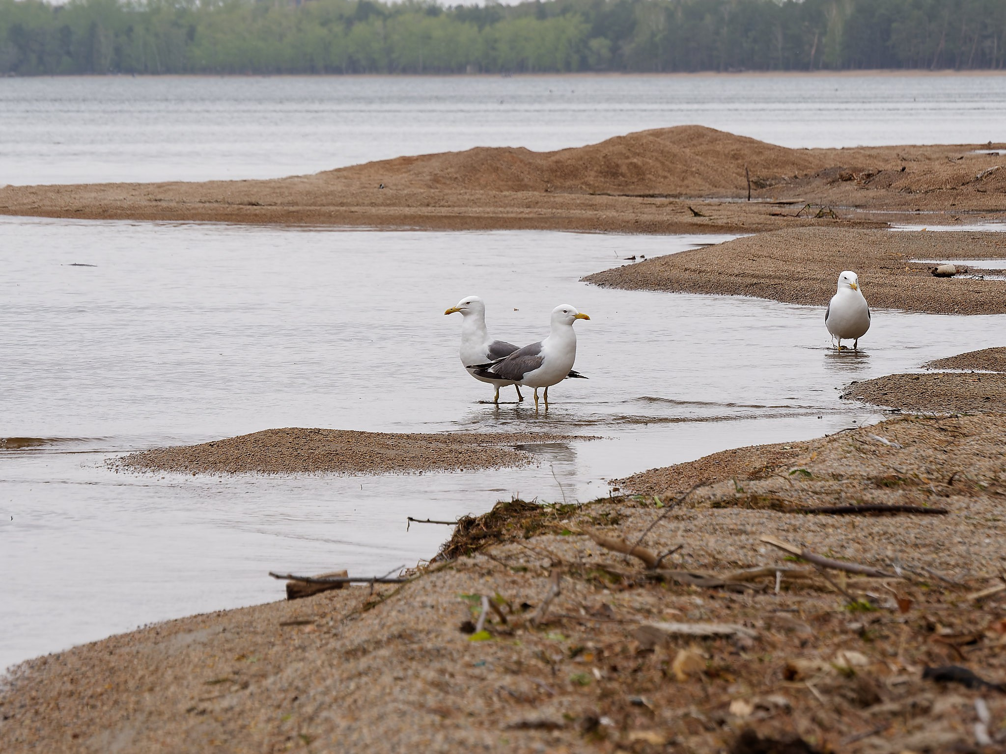 Боровое 2022 (из архива). Избранные фотографии