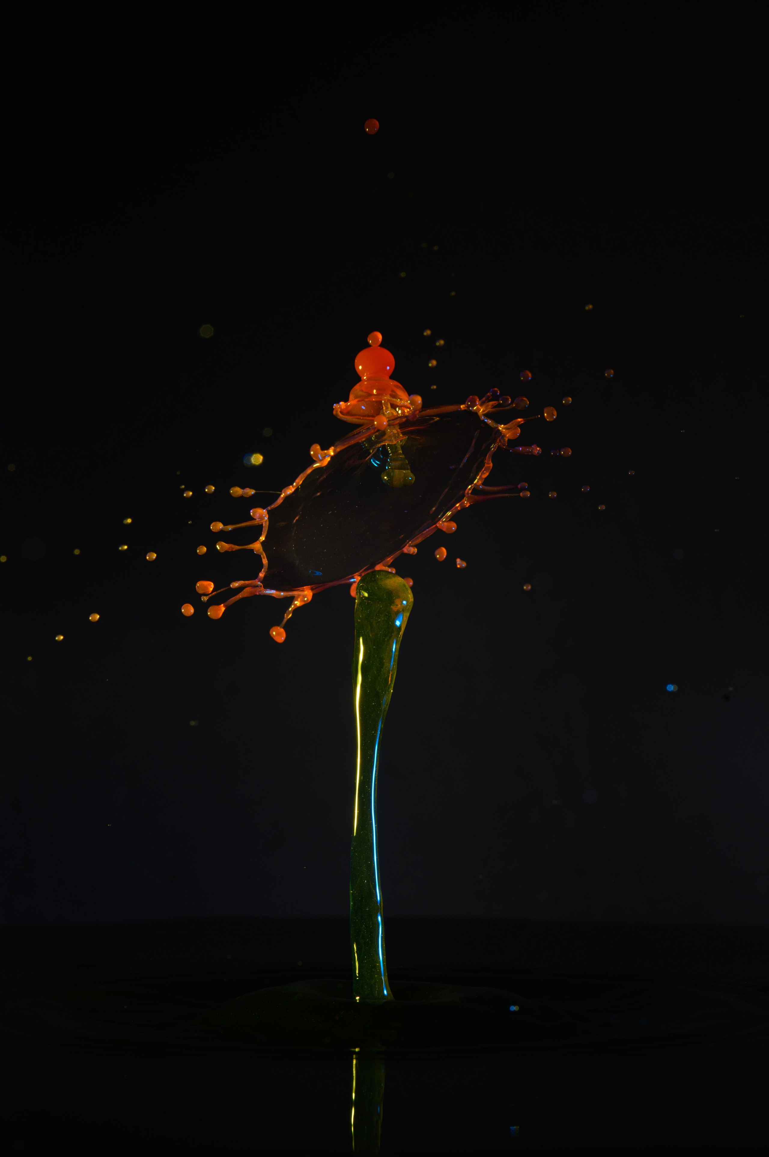 Watert drop. Фотограф в городе Омске Константин Зоткин