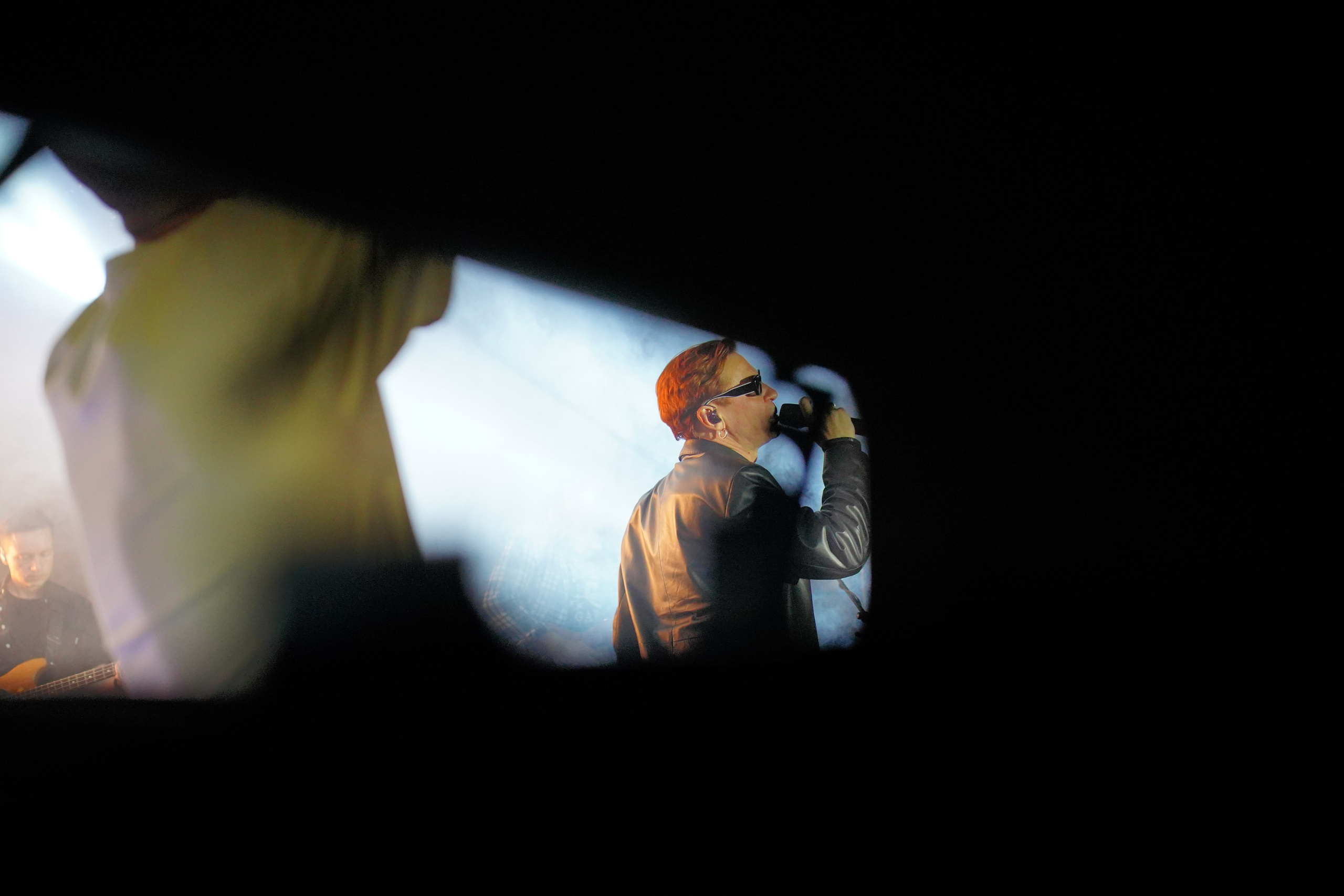 PETSHOPDAYS. Найк Борзов. Denis Kirillov