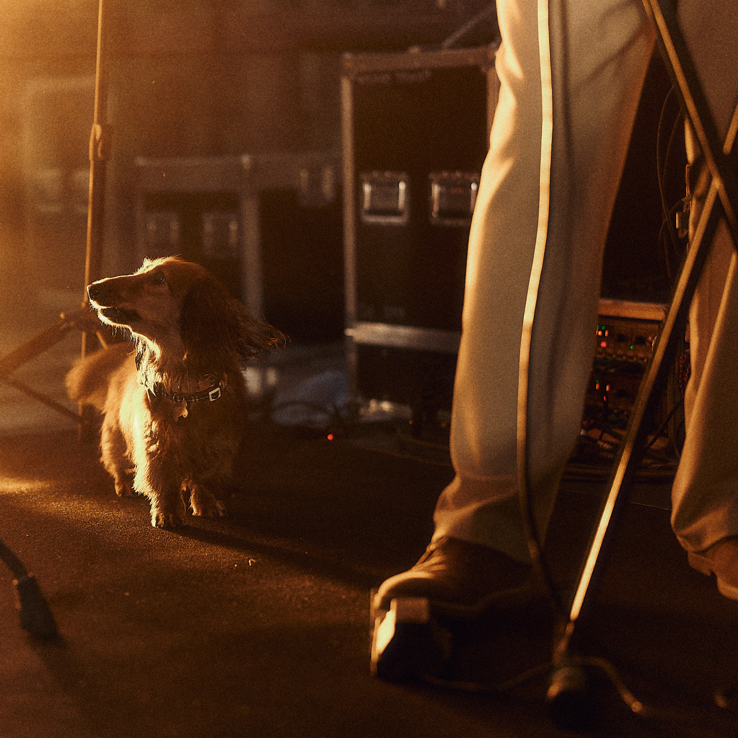 Анастасия и Влад. Свадебный и семейный фотограф в Иваново и Москве Мильков Вадим