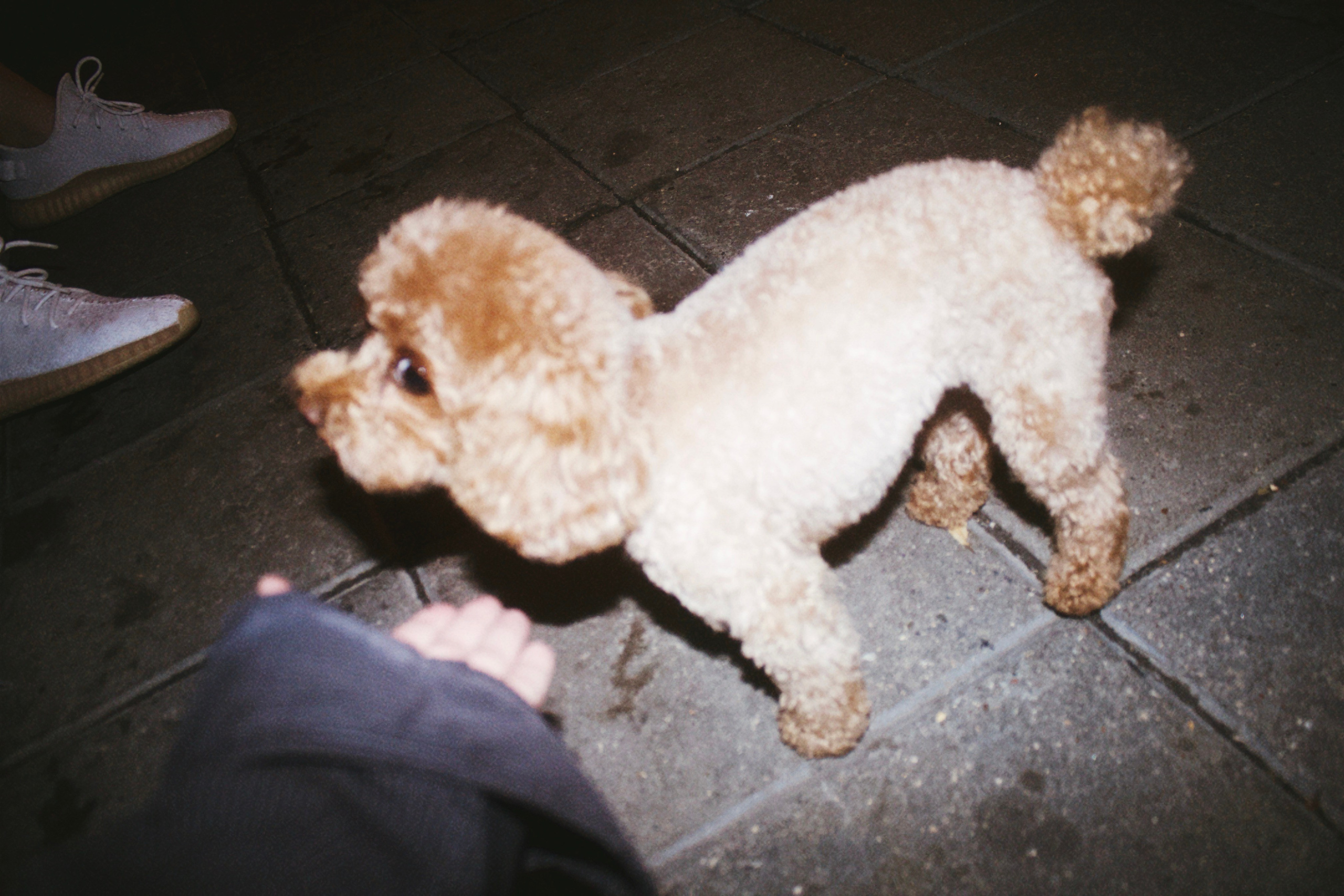 Съемка мерча MASHUPBLE. Концертный и портретный фотограф в Москве Соня Спросонья