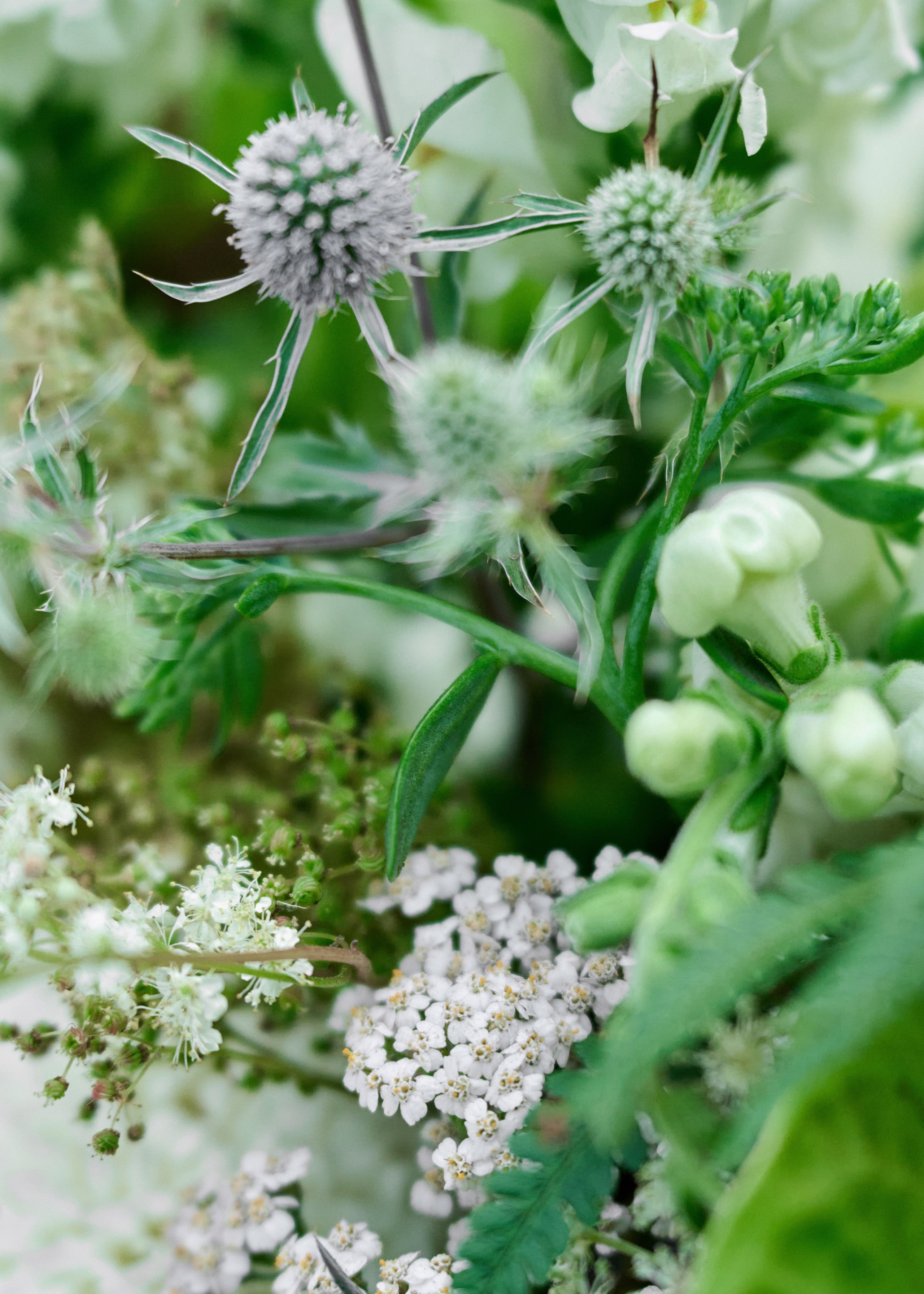 Максим & Елена. Оформление свадеб, декор свадеб Вера Маркова, Москва