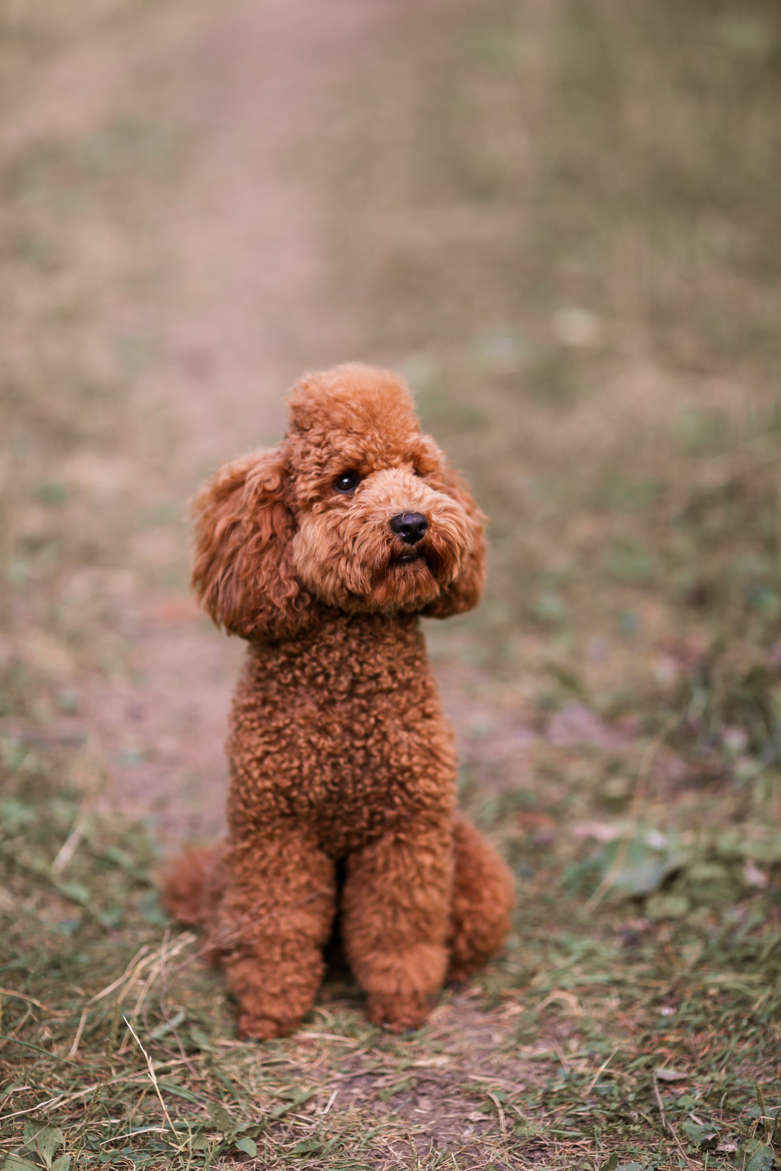 Андрей и Сёма. Фотограф Анастасия Галкина в Кудымкаре