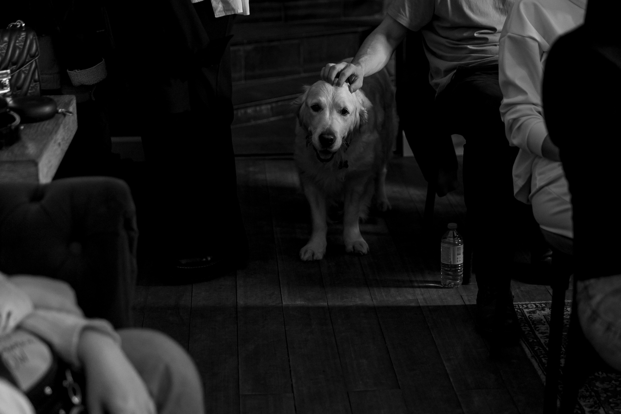 Сегодня Можно Все. Свадебный фотограф Колесников Антон