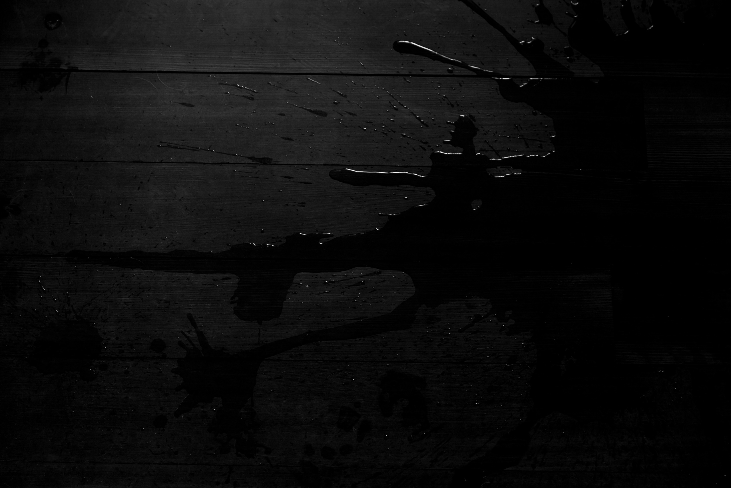 Сегодня Можно Все. Свадебный фотограф Колесников Антон