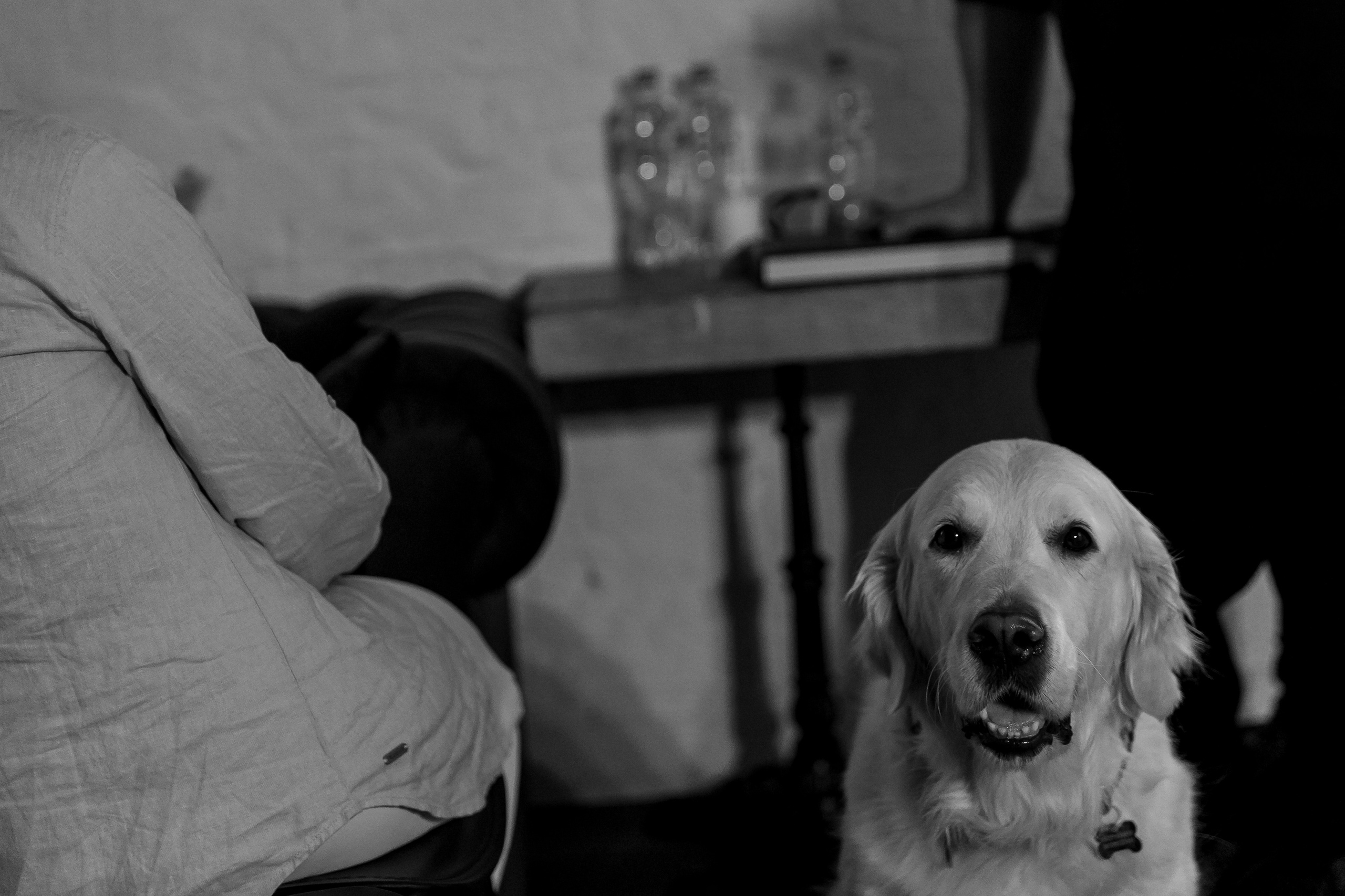 Сегодня Можно Все. Свадебный фотограф Колесников Антон