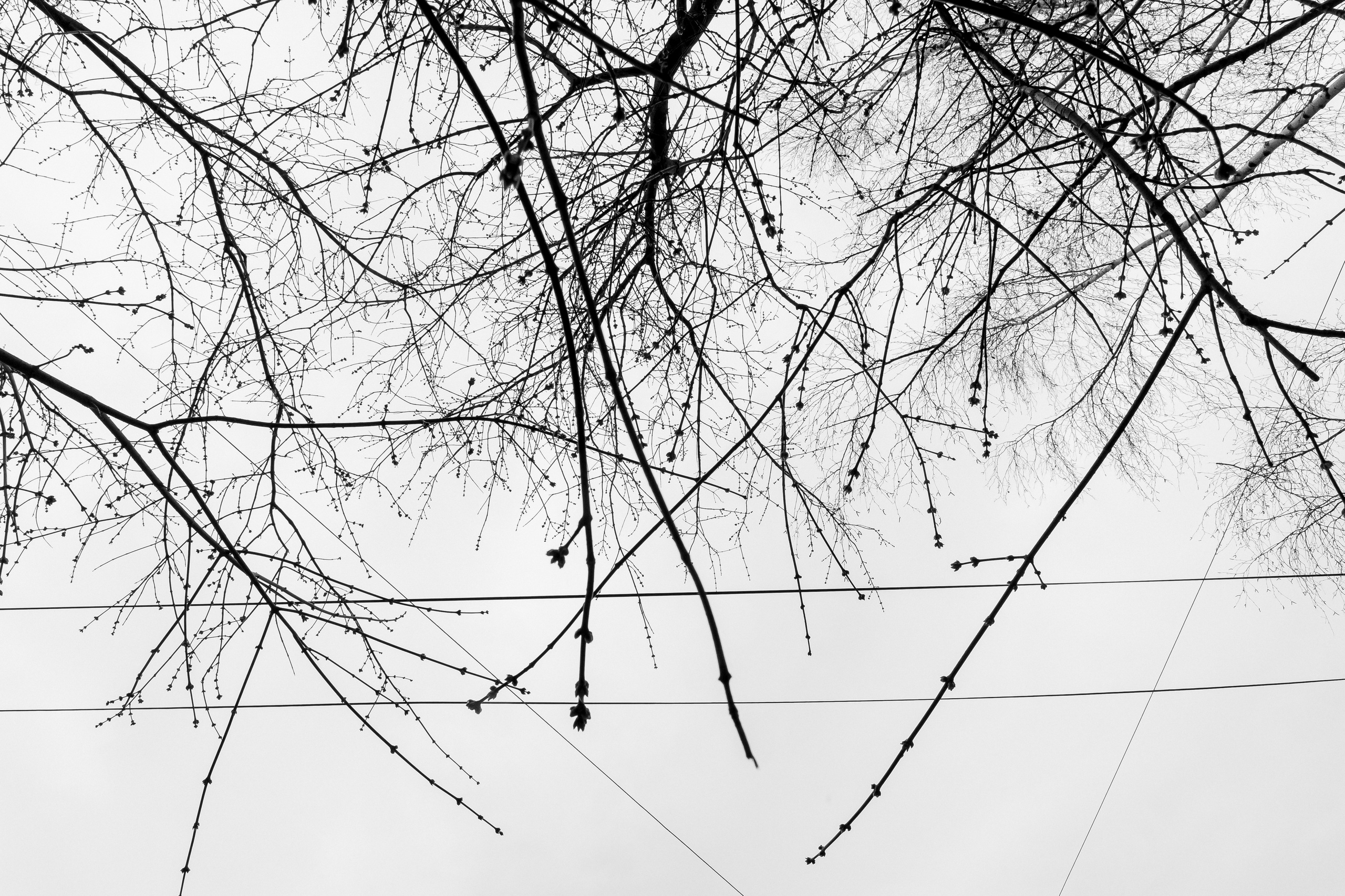 Сегодня Можно Все. Свадебный фотограф Колесников Антон