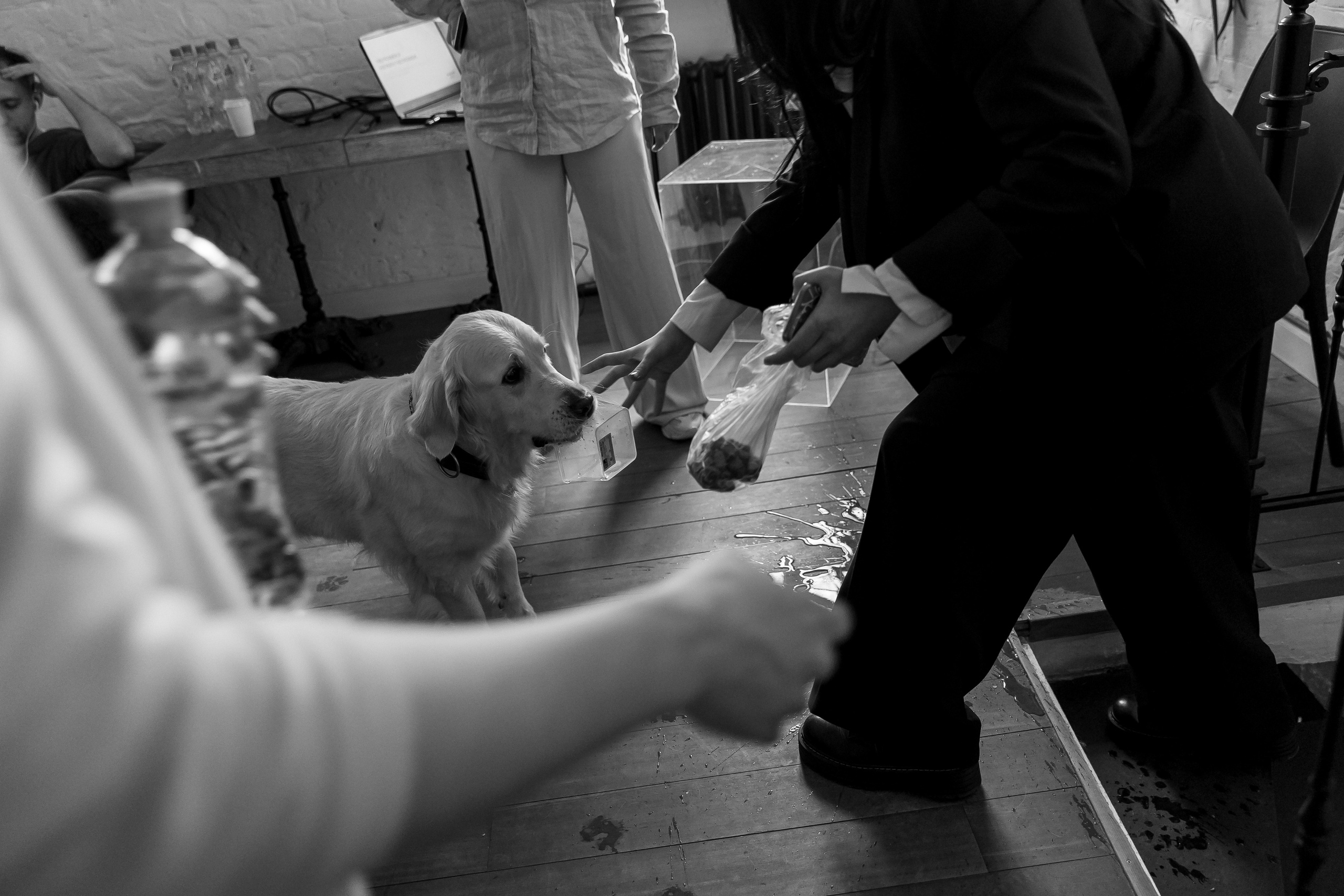 Сегодня Можно Все. Свадебный фотограф Колесников Антон