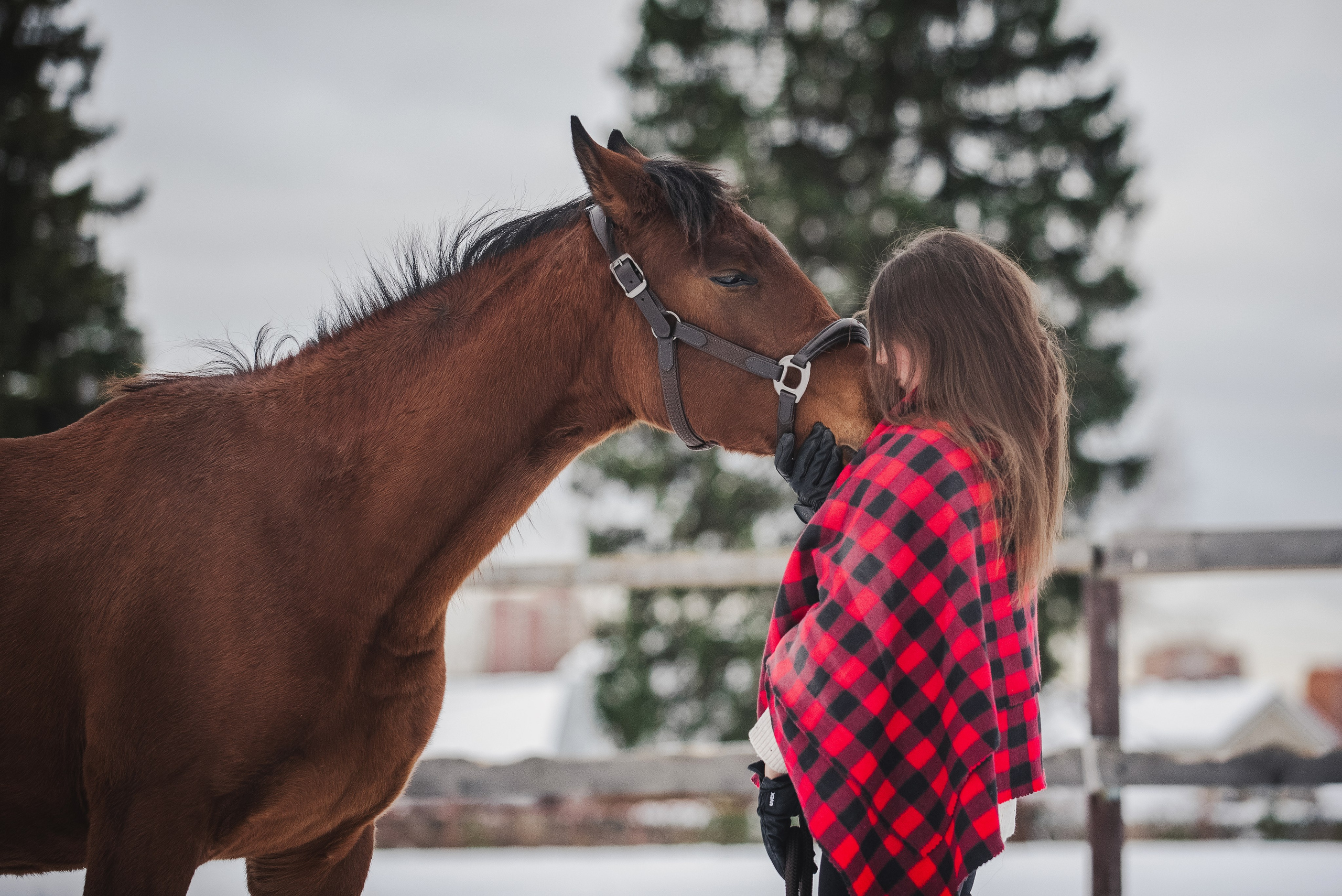 Дестини. Куракина Дарья • Конный фотограф
