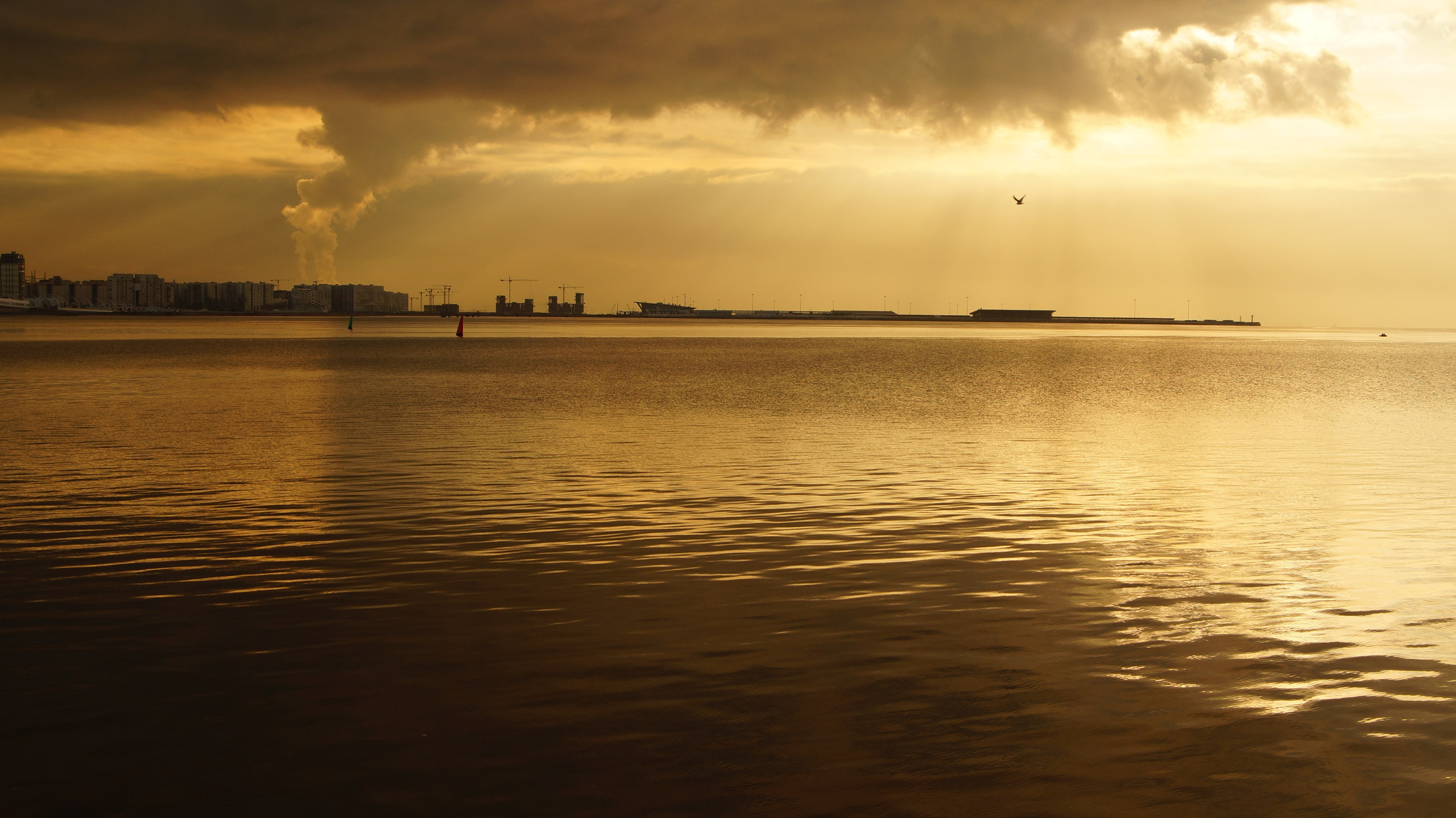 Автор: Мария Кокорина