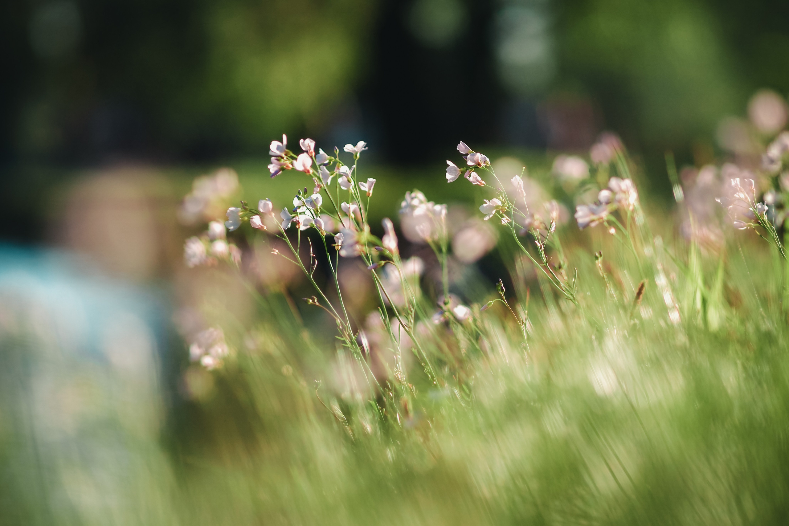 Крестовский остров. Свадебный фотограф Копков Геннадий