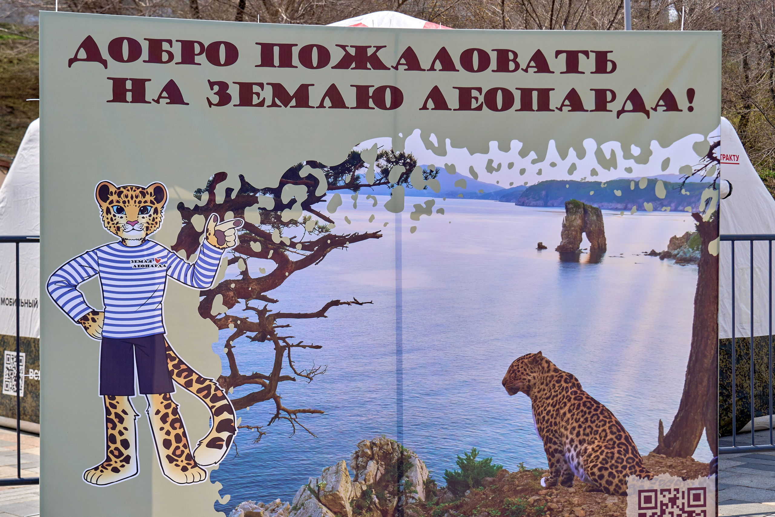 «День леопарда»!. Фотограф во Владивостоке