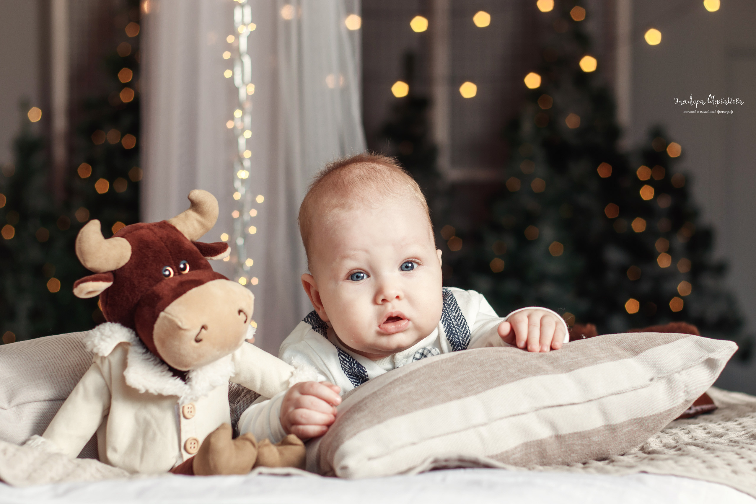 Новогодние семейные, детские и индивидуальные фотосессии в г. Тамбове. FOTOELA. Элеонора Щербакова — фотограф счастья в Тамбове
