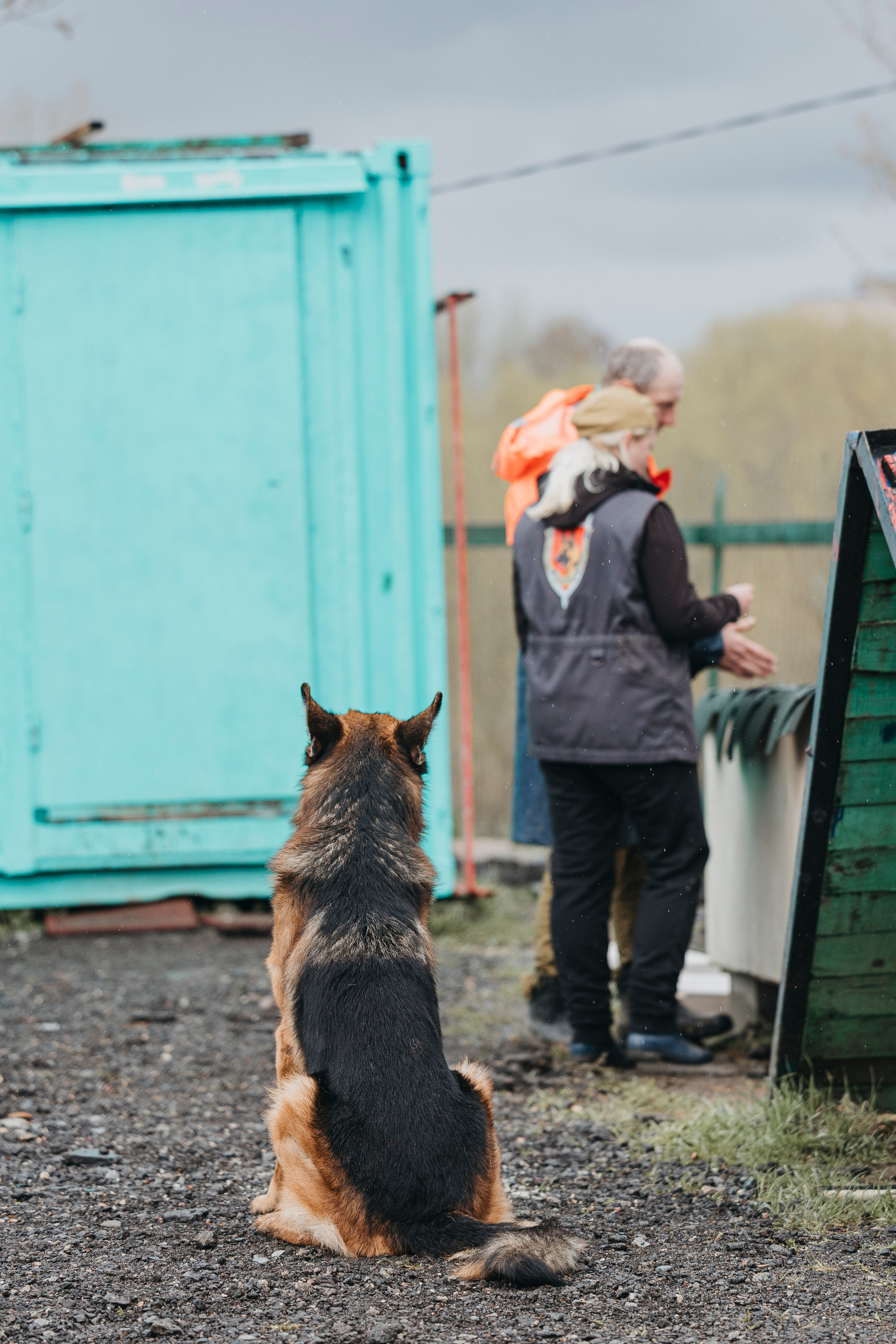 09.05.25 Вологда соревнования. Фотограф-анималист Анна Маринич