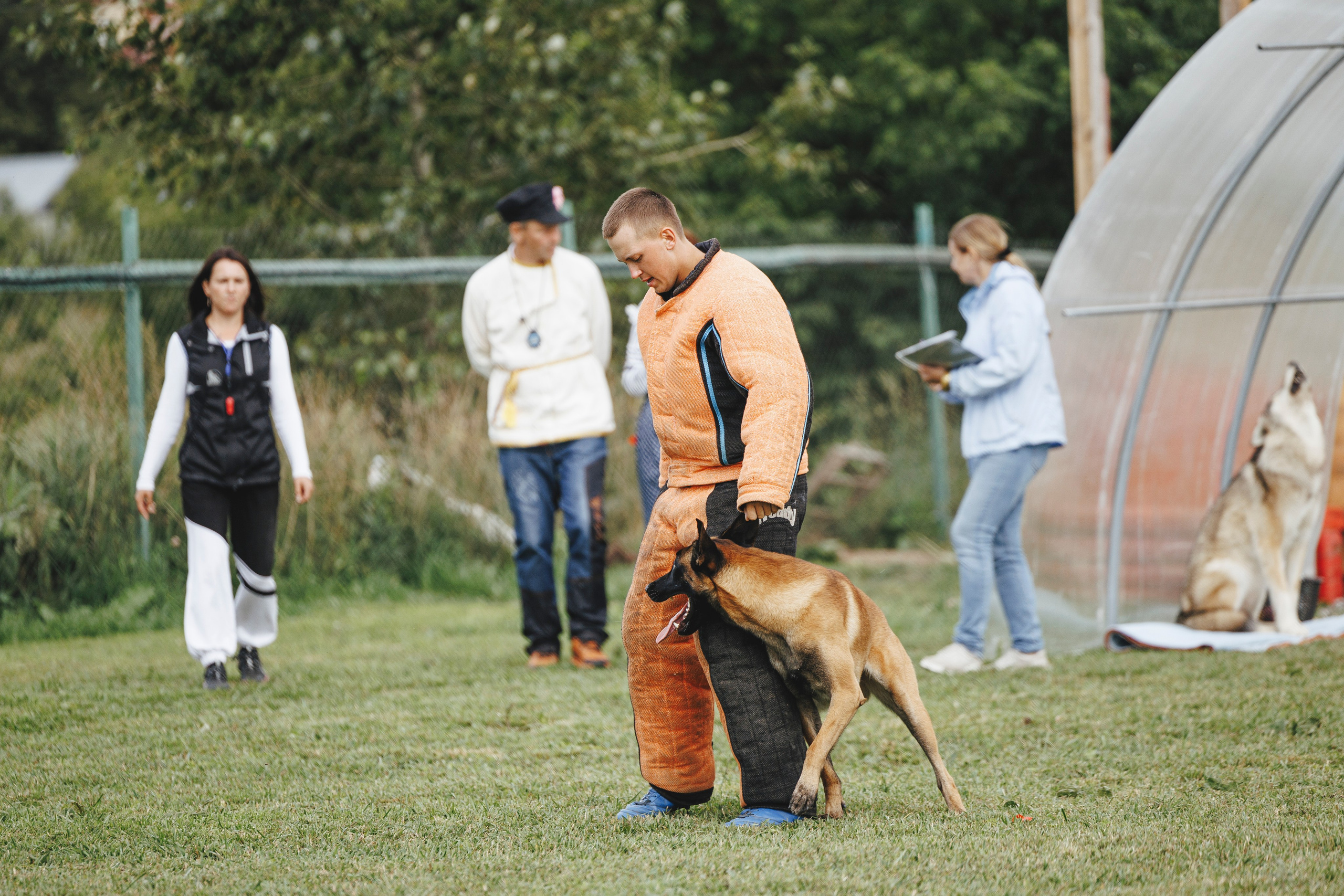 08.08.25-10.08.25 ЧР по мондьорингу г. Вологда. Фотограф-анималист Анна Маринич