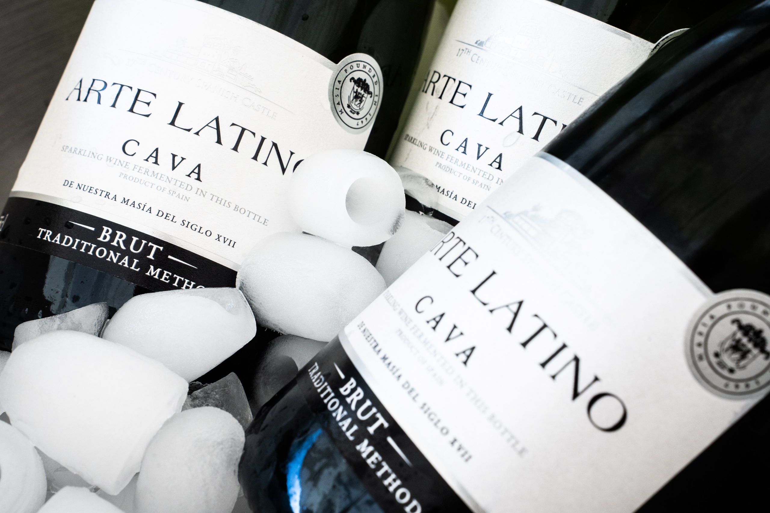 Презентация ЖК Икигай от «ЖЕЛЕЗНО». Фотограф в Ижевске Максим Грундул