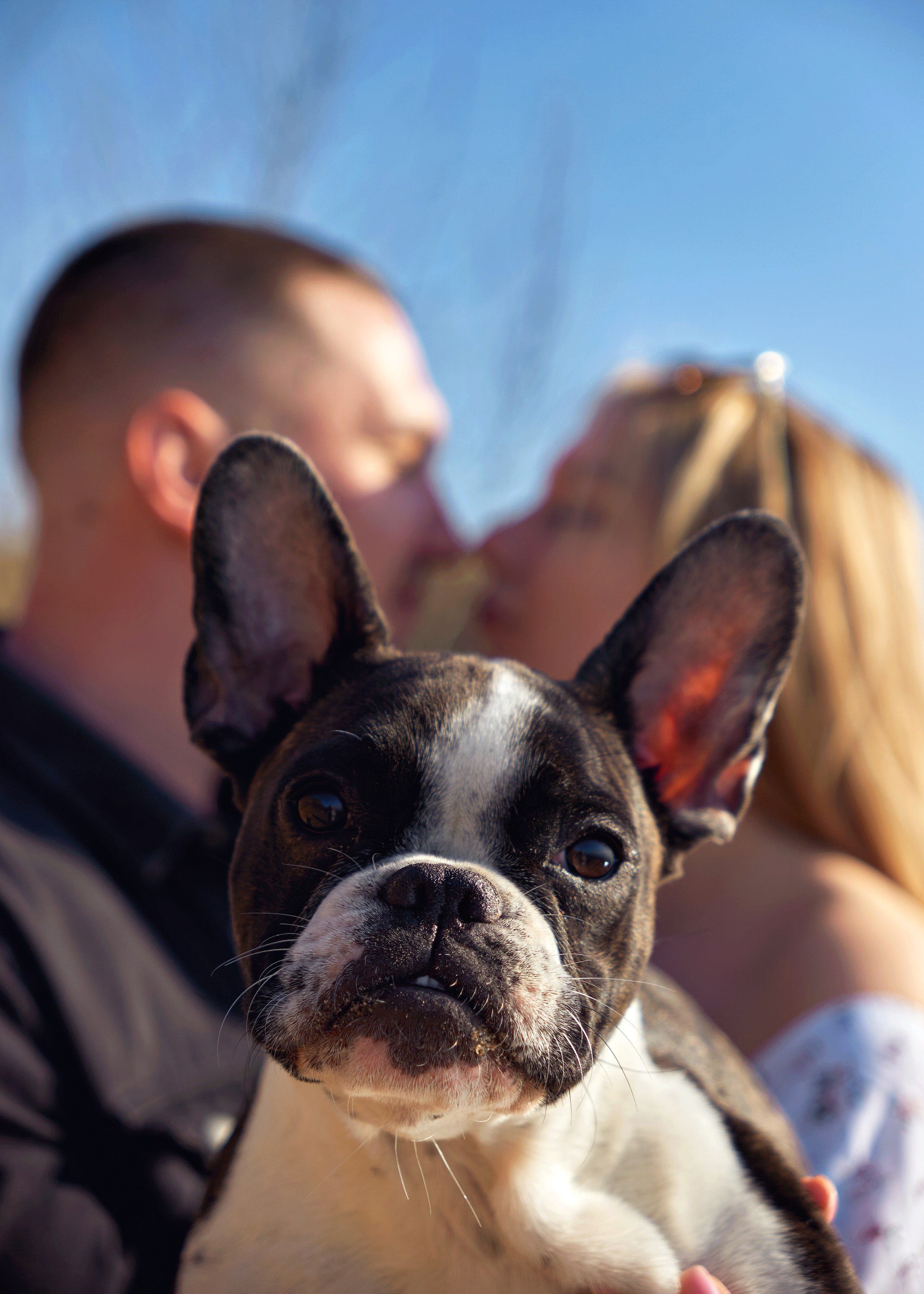 Никита & Дарья. Фотограф в Санкт-Петербурге Цуркан Алёна