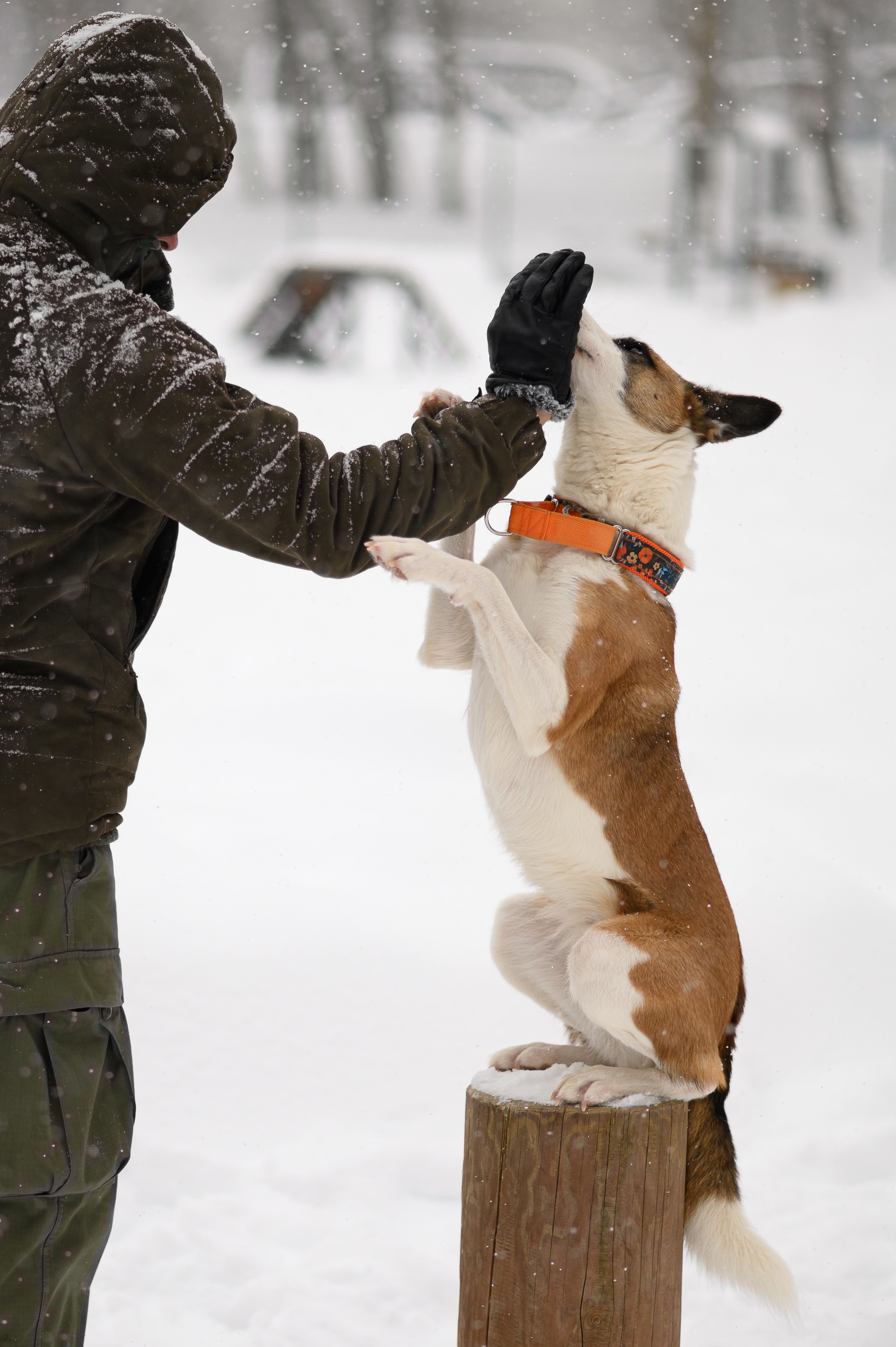 Акцент на живом. Фотограф в Москве Полина Старцева