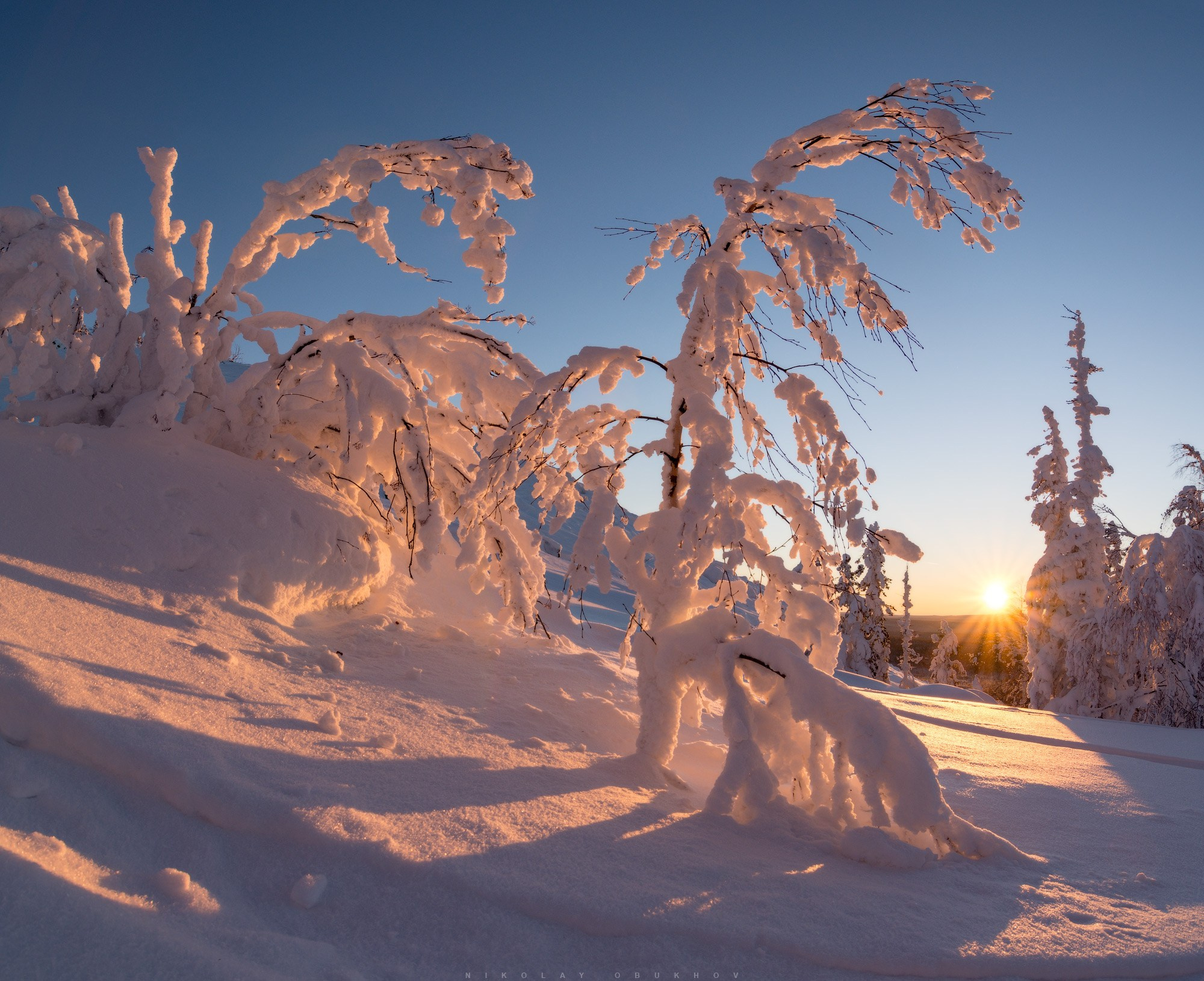 Зимний лес: тишина и покой создают ощущение вечности среди гор Белая.