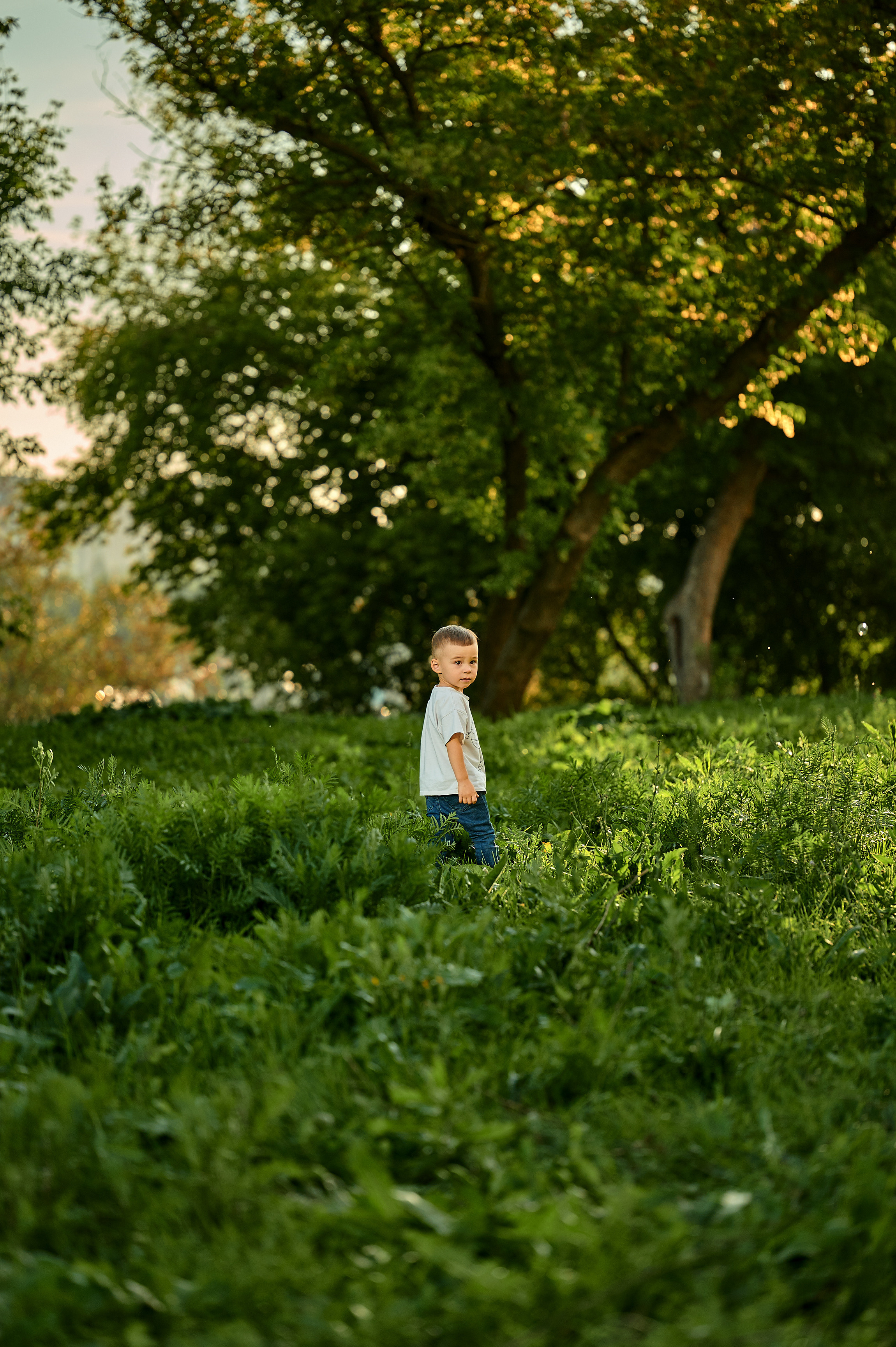 Семья. Фотосъемка мероприятий