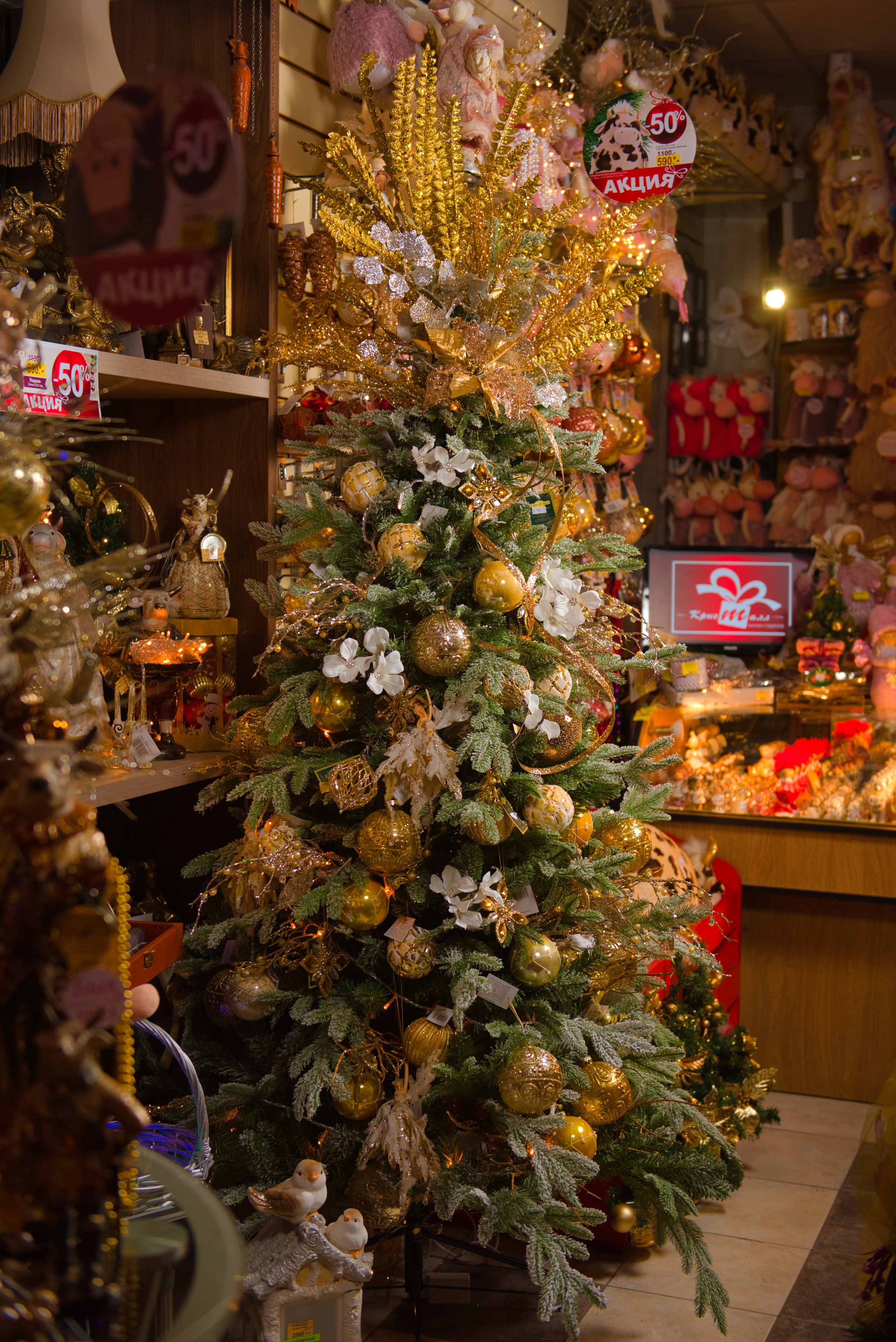 Кристалл Новый год. Фотосъемка мероприятий