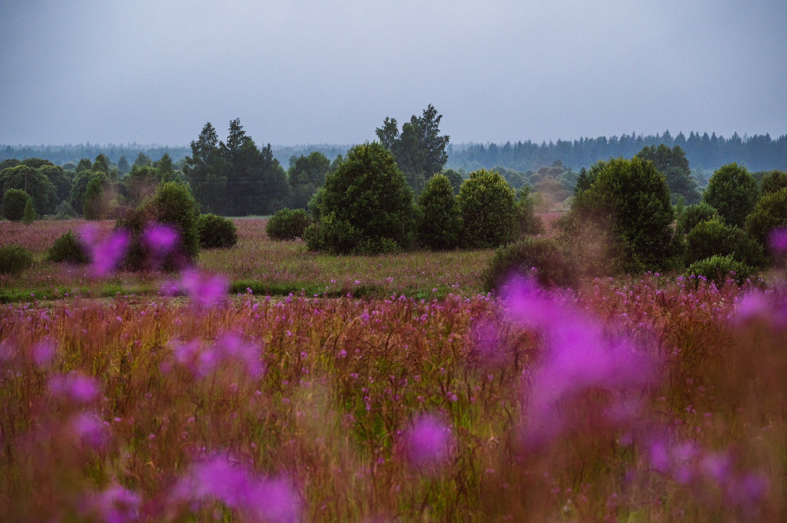 Пейзаж Архитектура. Семейный фотограф Руслан Каримов Одинцово Москва