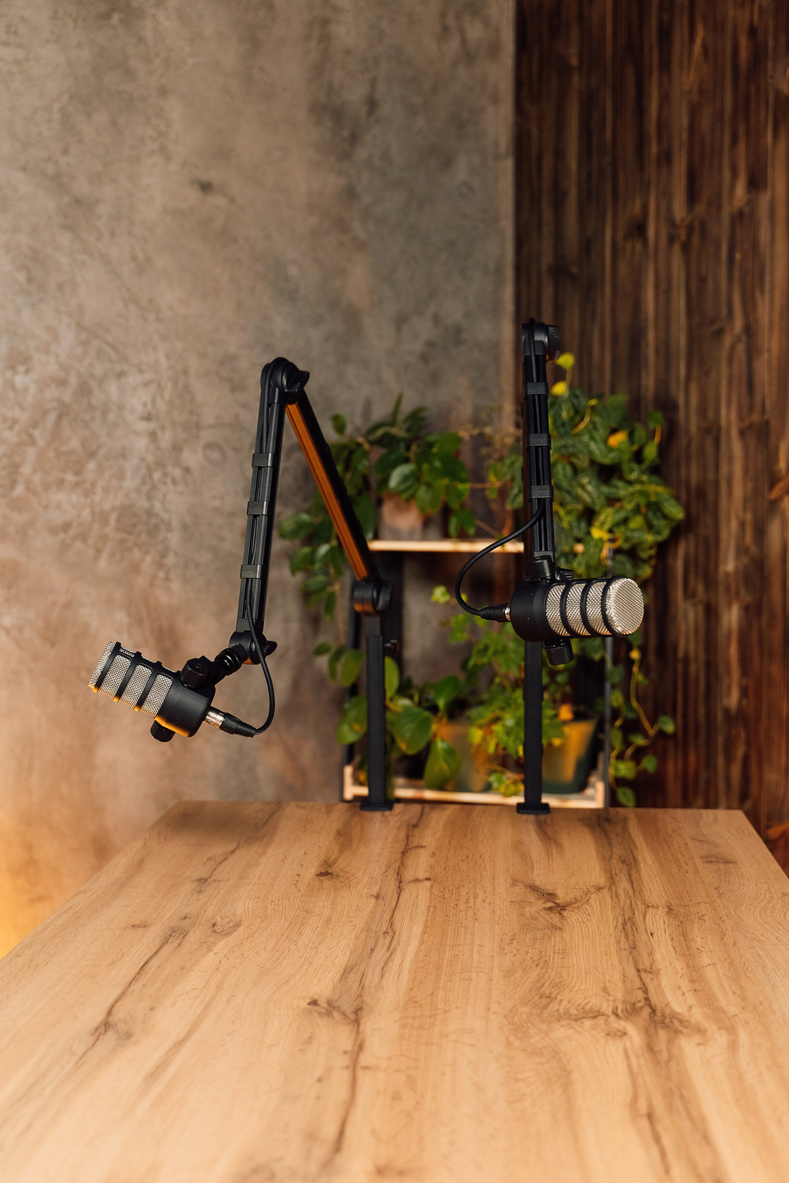 Интерьерная. Kamelia Candy фотограф Самара/ Москва