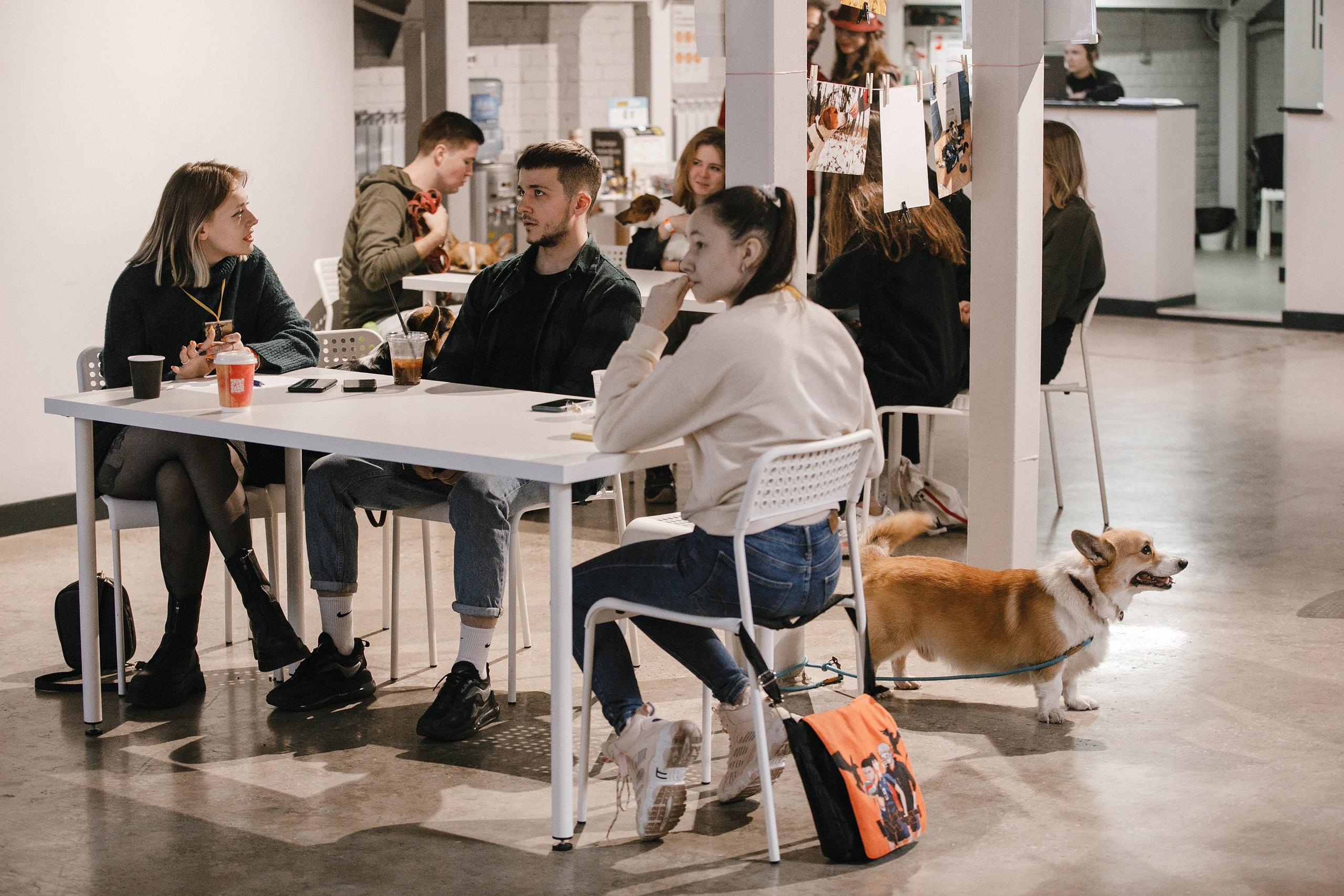 17.10.2021 // Дог-френдли день в Артплей. Фотовыставки serebro.gallery, в которых автором можешь стать ты! | Москва