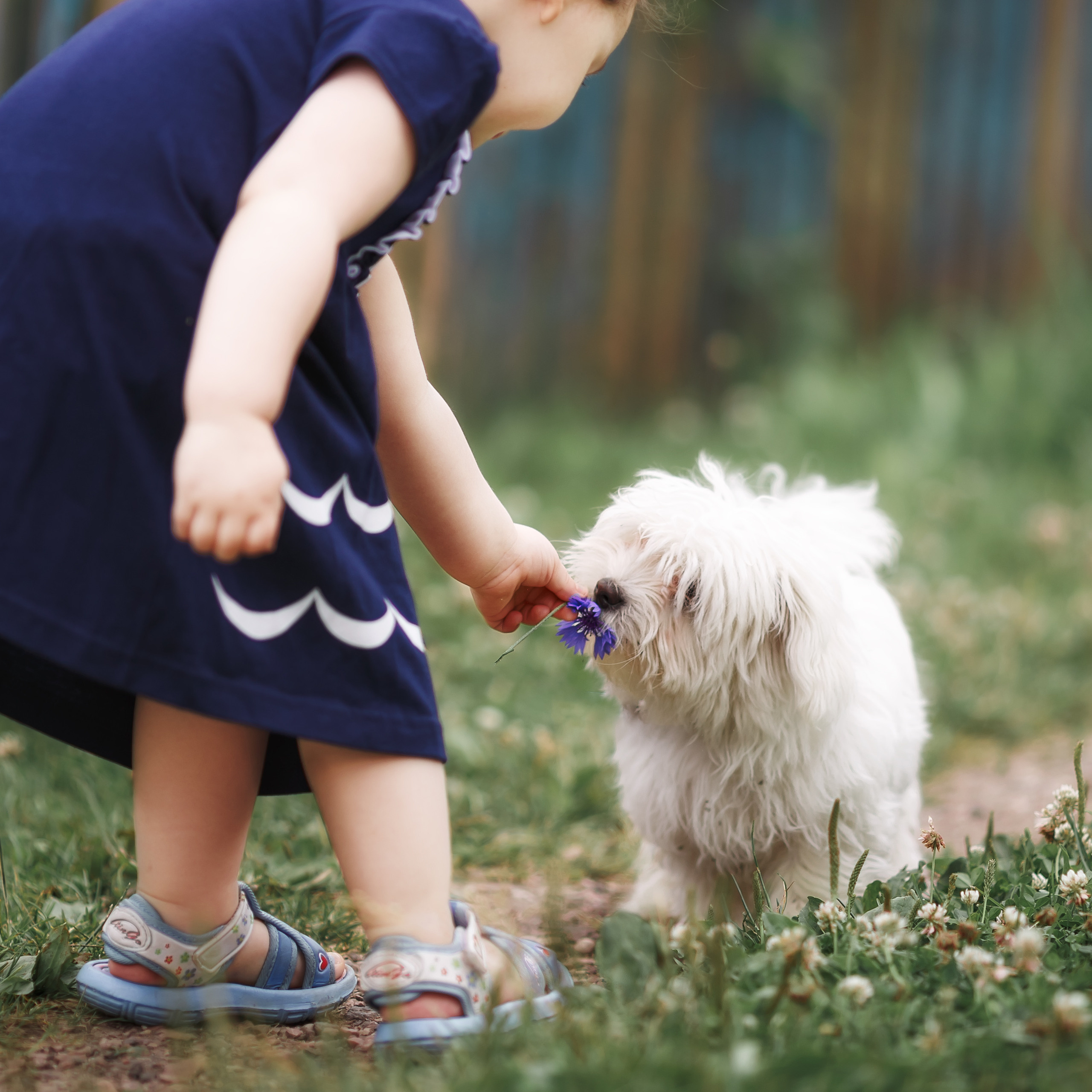 ДЕТИ. Женский и семейный фотограф в Санкт-Петербурге Лидия Лиженина