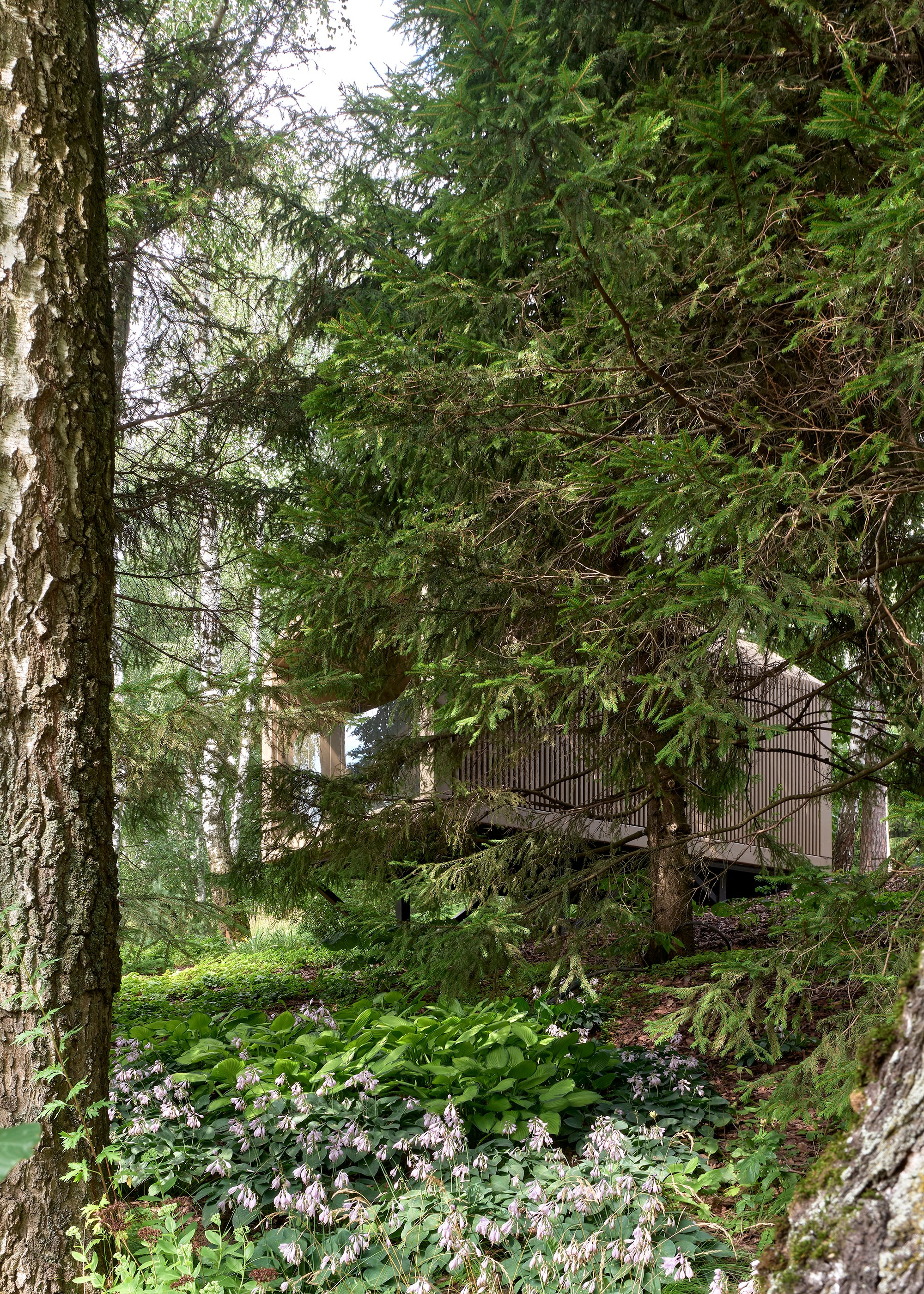 Фотограф Наталья Соловьева. Съемка реализованного проекта Level Up для L.BURO | interioto