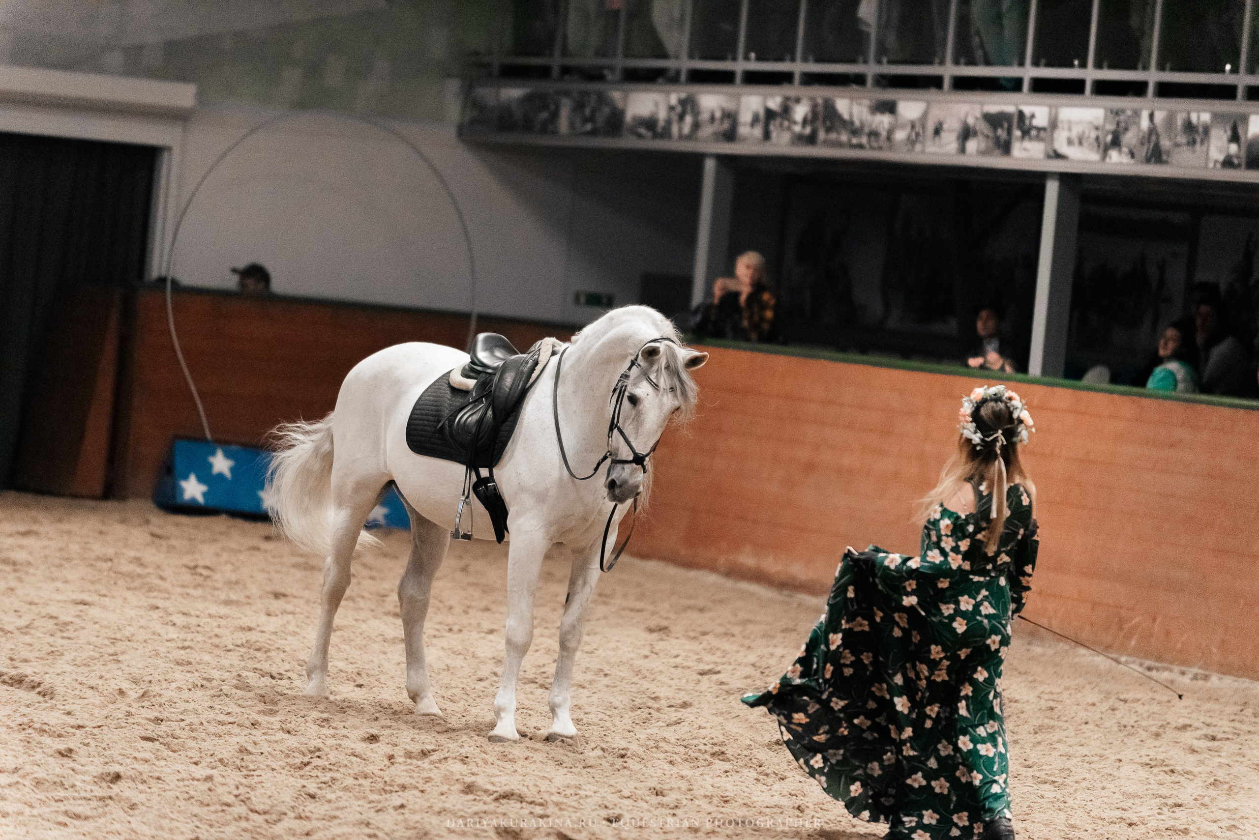 Конное представление «Дыхание Звёзд». Конный фотограф Куракина Дарья • Фотосессии с лошадьми