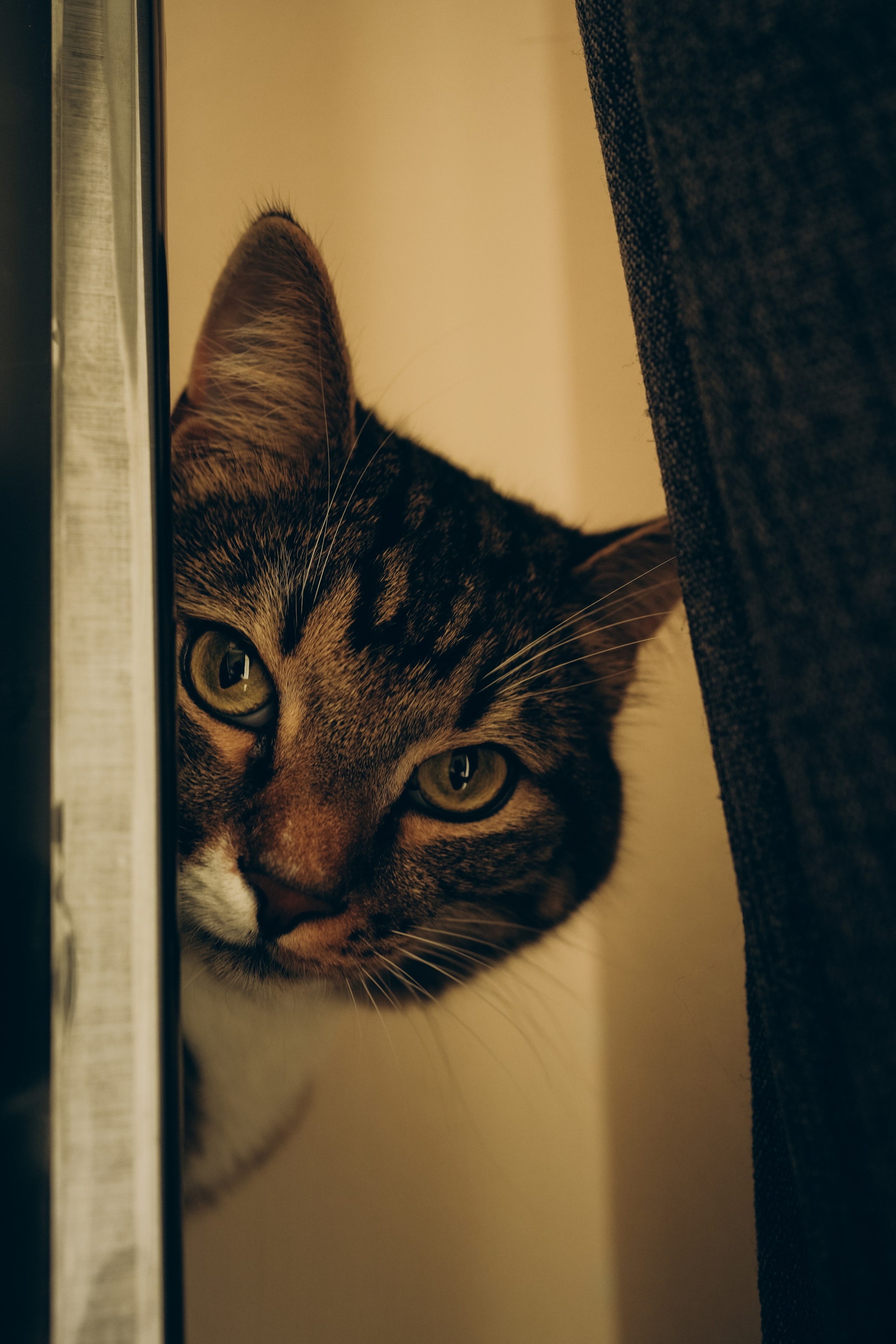 Женя, Таня и Арсюша. Семейный и детский фотограф Плесецк, Мирный Марина Забабурина