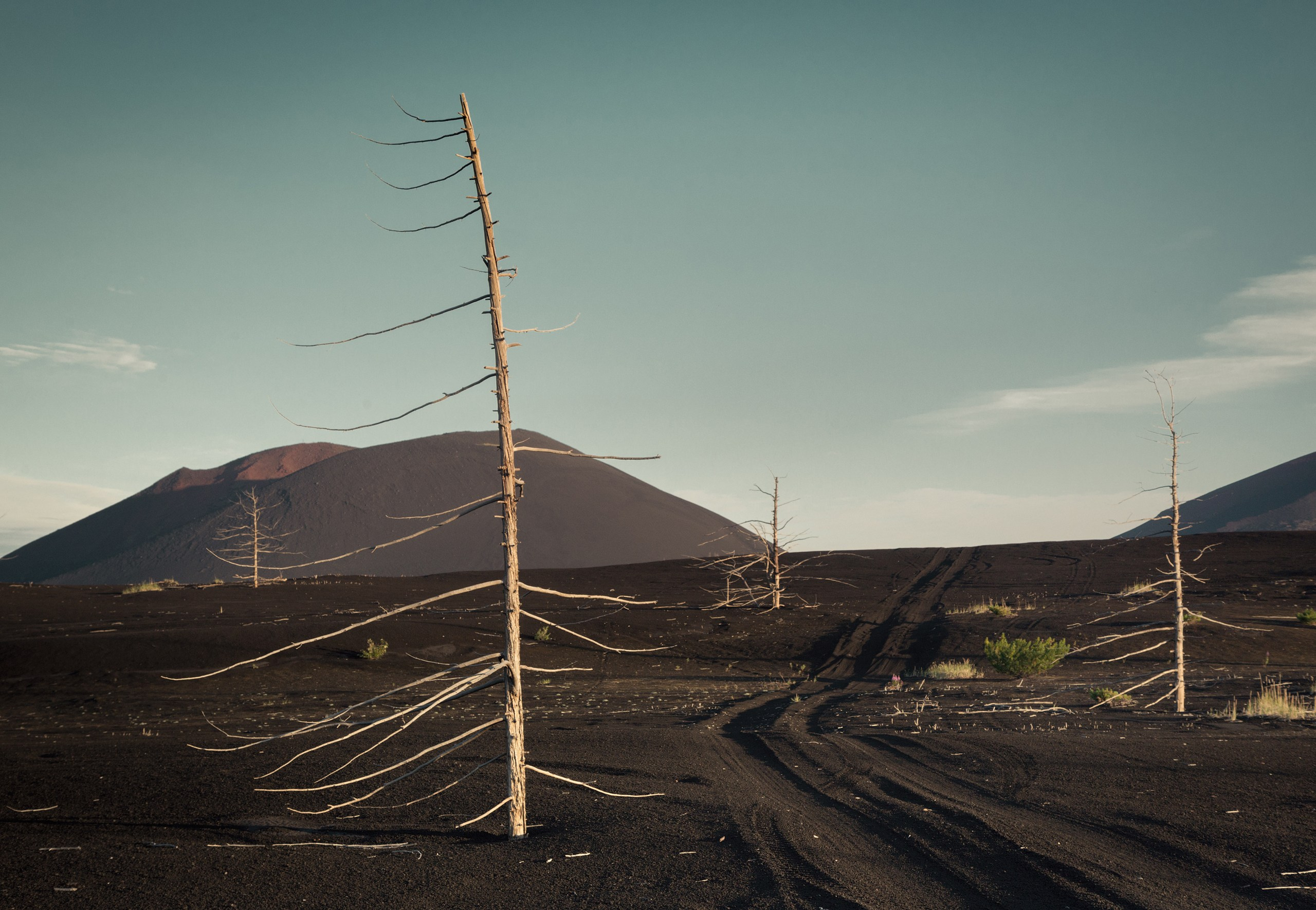 Камчатка. Фотограф Владимир Медведев
