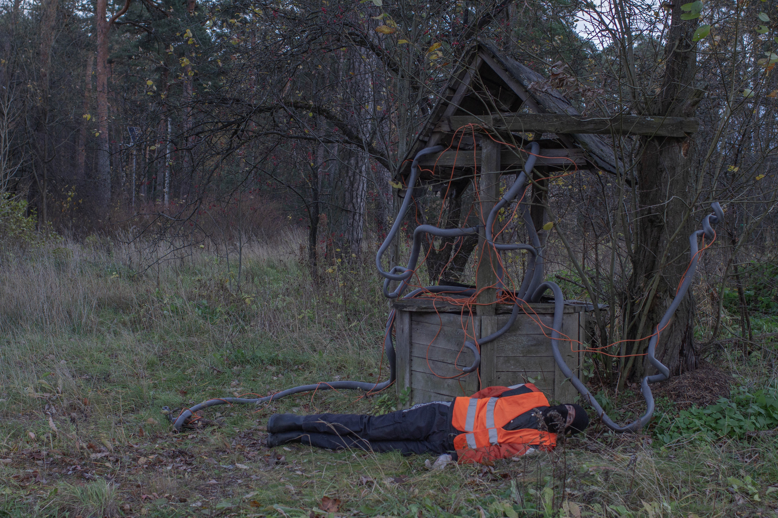 The fairytale’s end (on-going). Elena Kalyuzhnaya