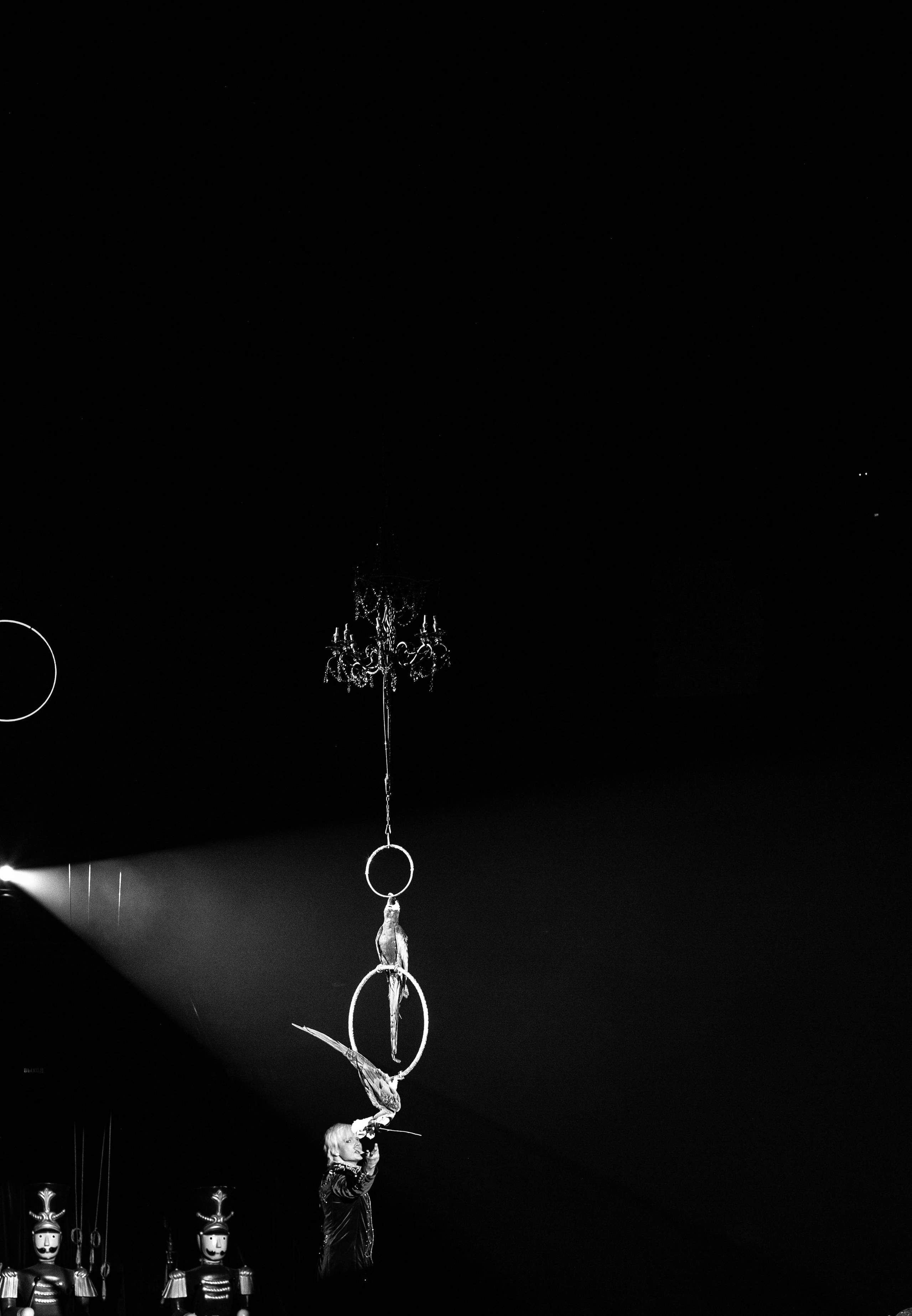 Нижегородский цирк. Шоу фонтанов. Фотограф в Нижнем Новгороде