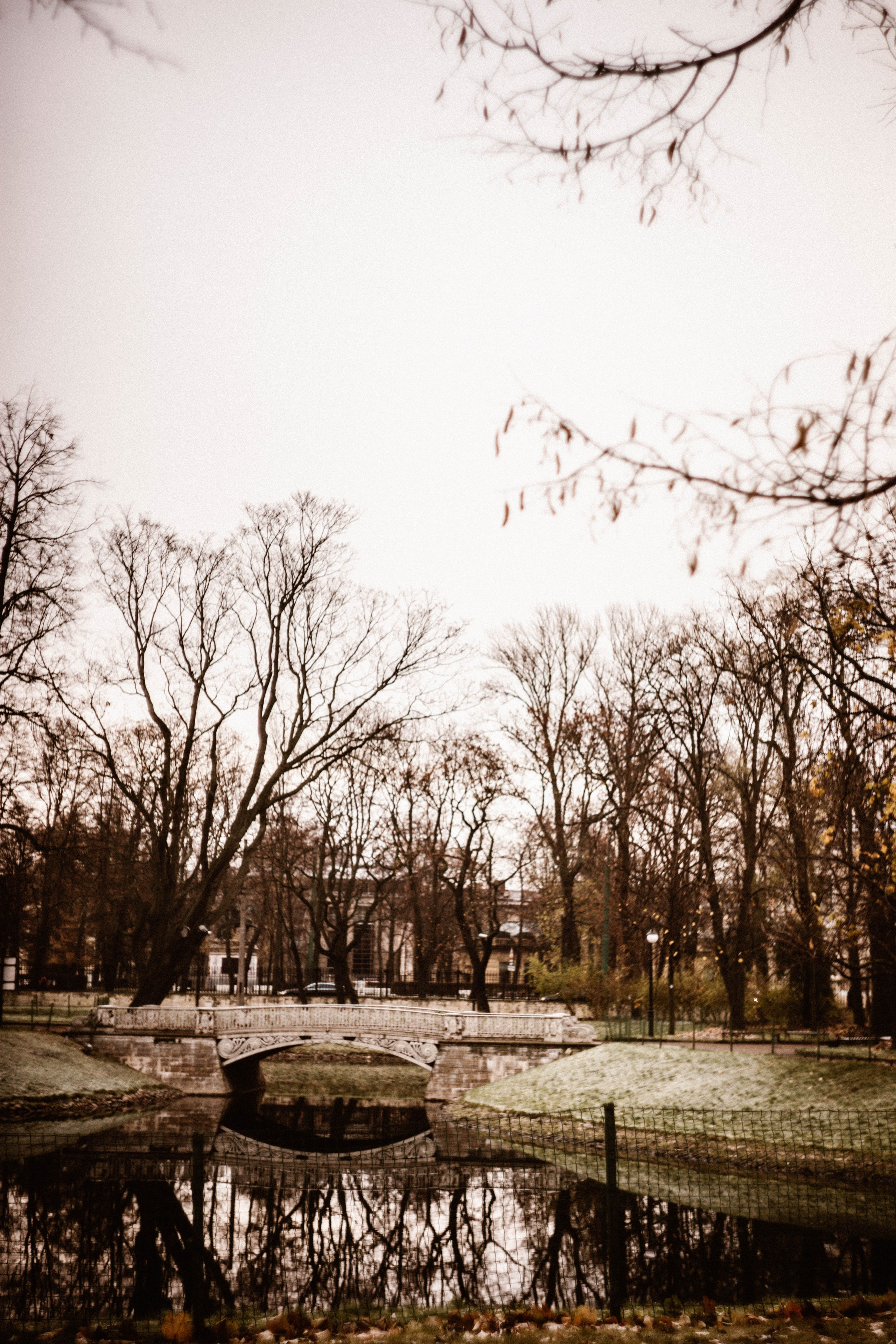 Питер / 24. Фотограф в Нижнем Новгороде