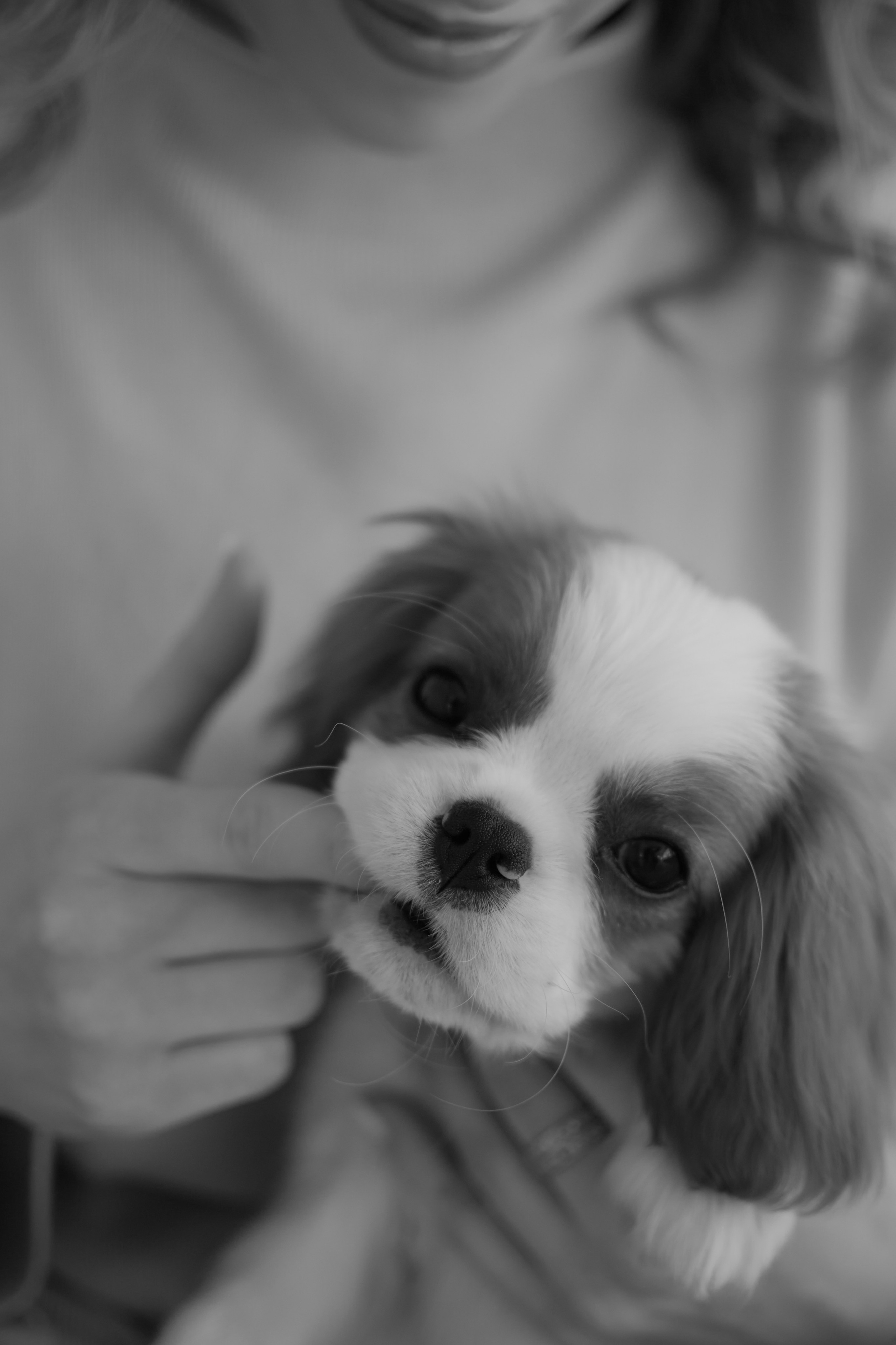 Алина и малышка Эми. Портретный фотограф в Саратове Кристина Бузаева