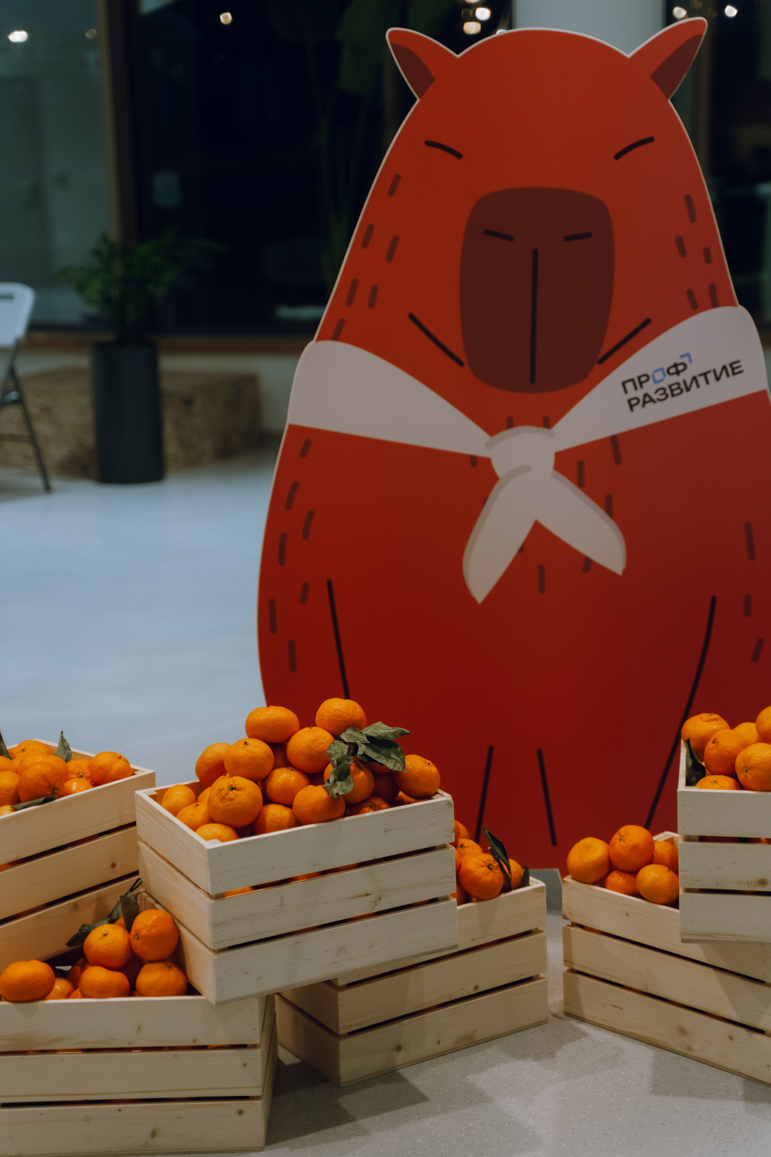 Профразвитие 1 декабря. Фотограф Надежда Погребняк | Рязань | Москва