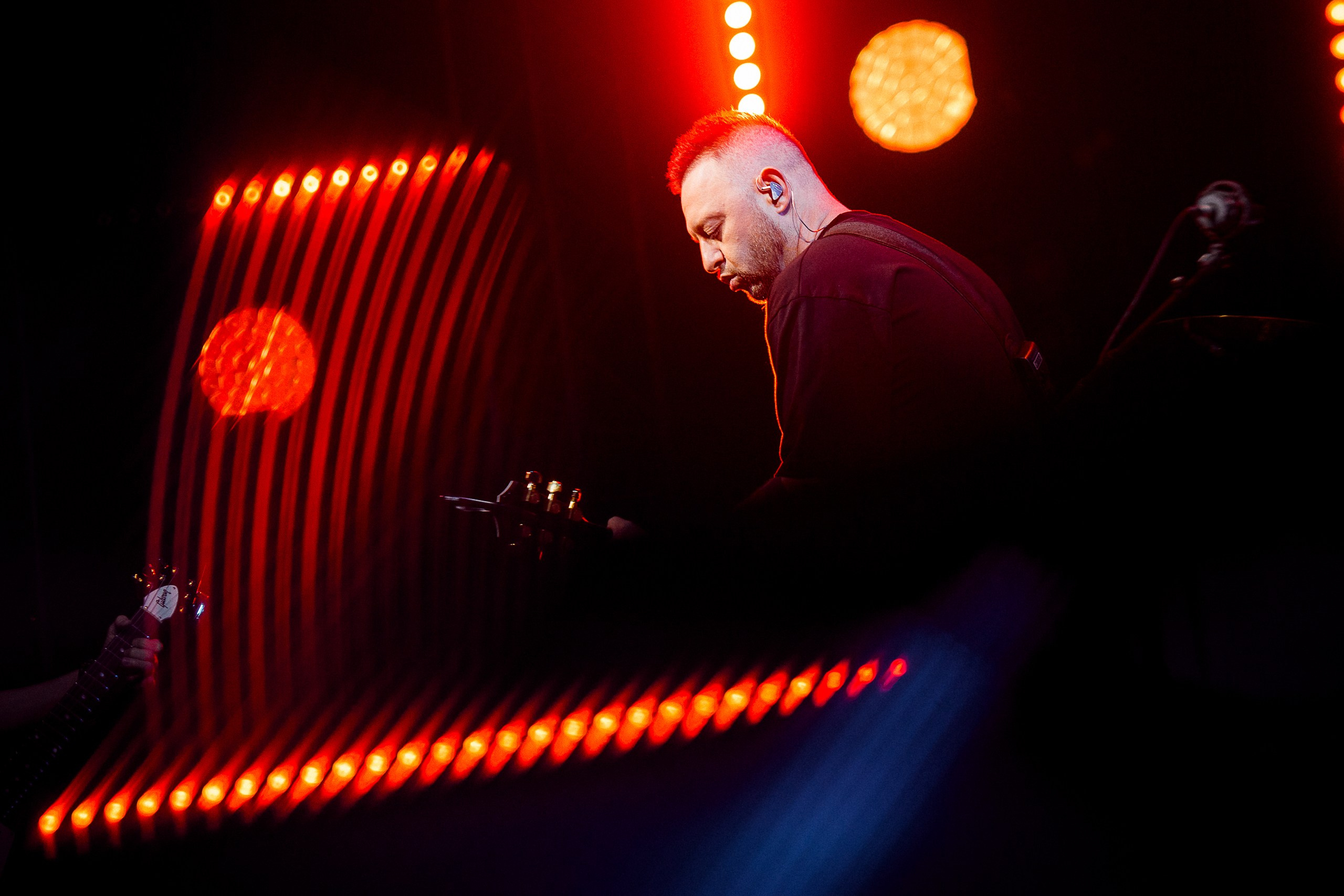 Звери 2025. Репортажный фотограф в Кемерово