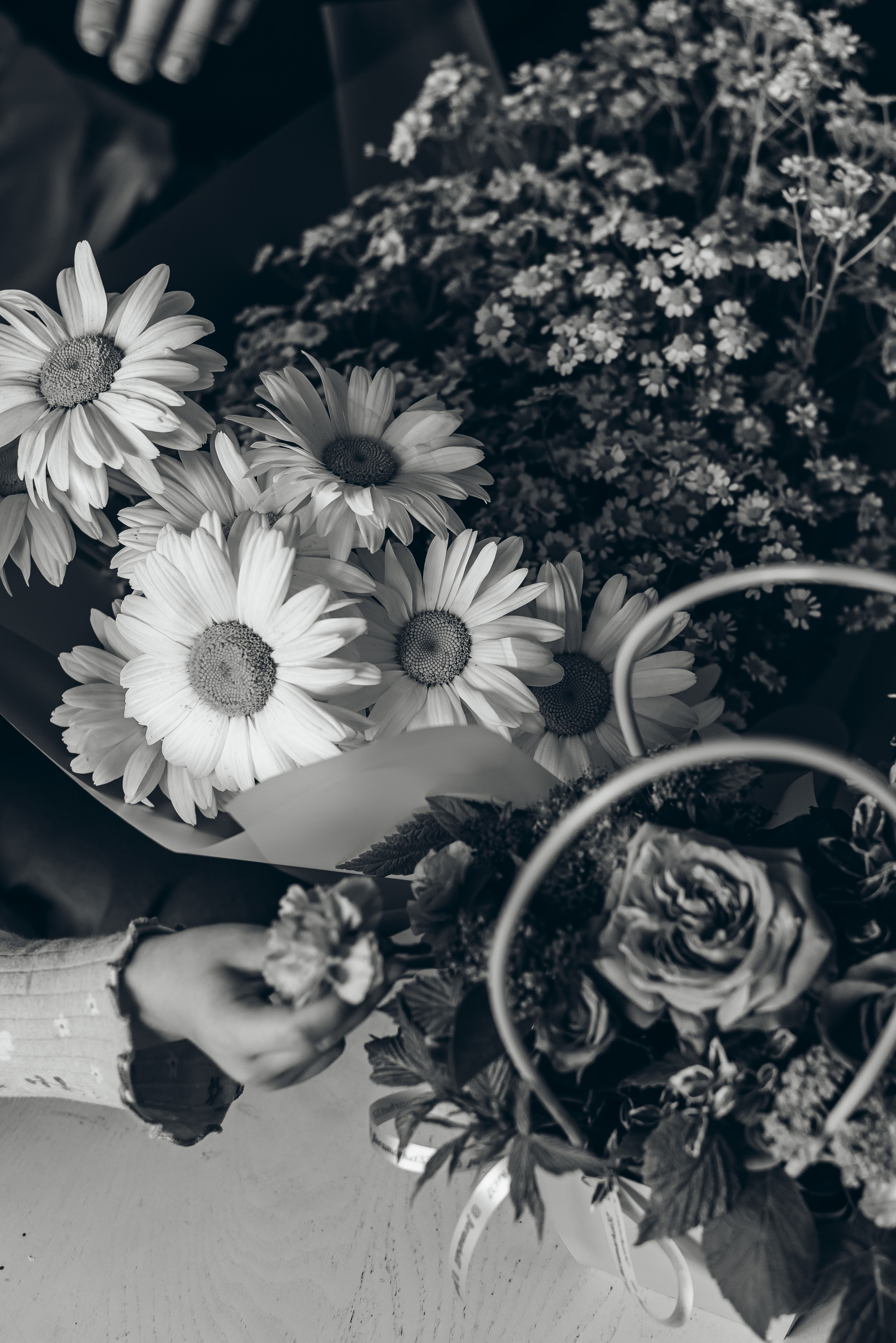 Троицкие Стася, Костя, Мира, Лев. Семейный и детский фотограф Иваново Ксения Азаренкова