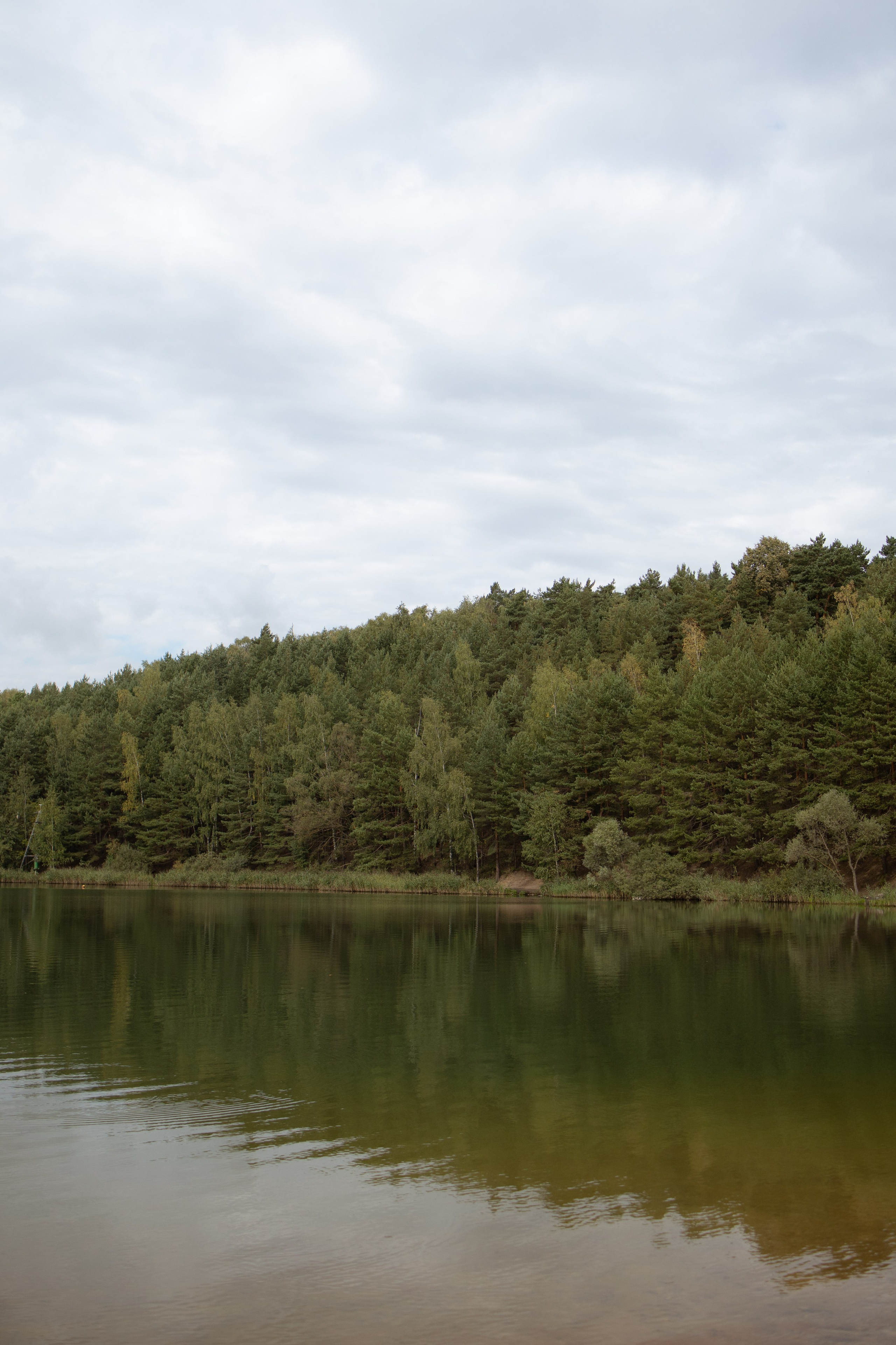 Пляж. Оформление свадеб, декор свадеб Вера Маркова, Москва