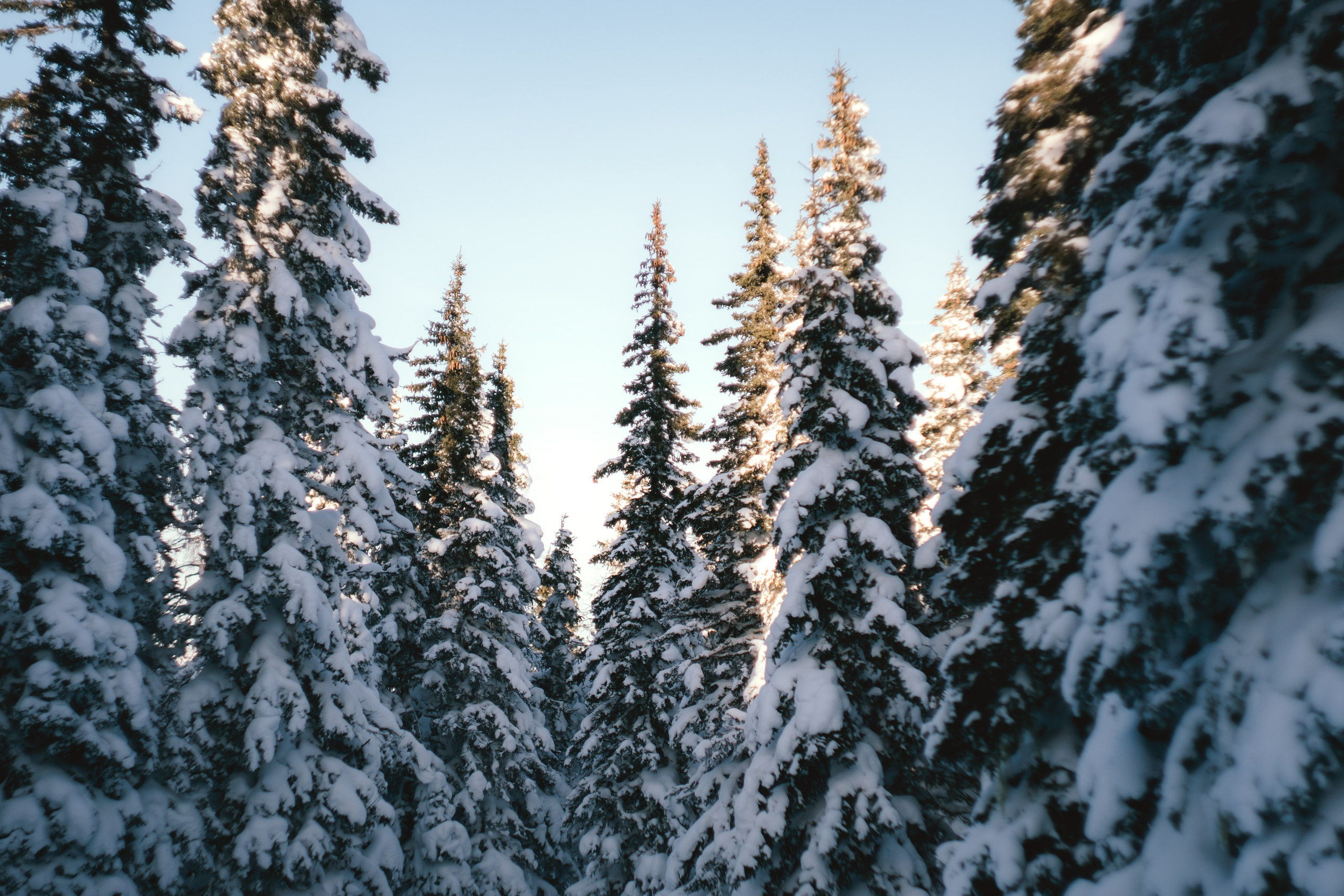 Фотографии из путешествий. NECULTURED PHOTOGRAPHER