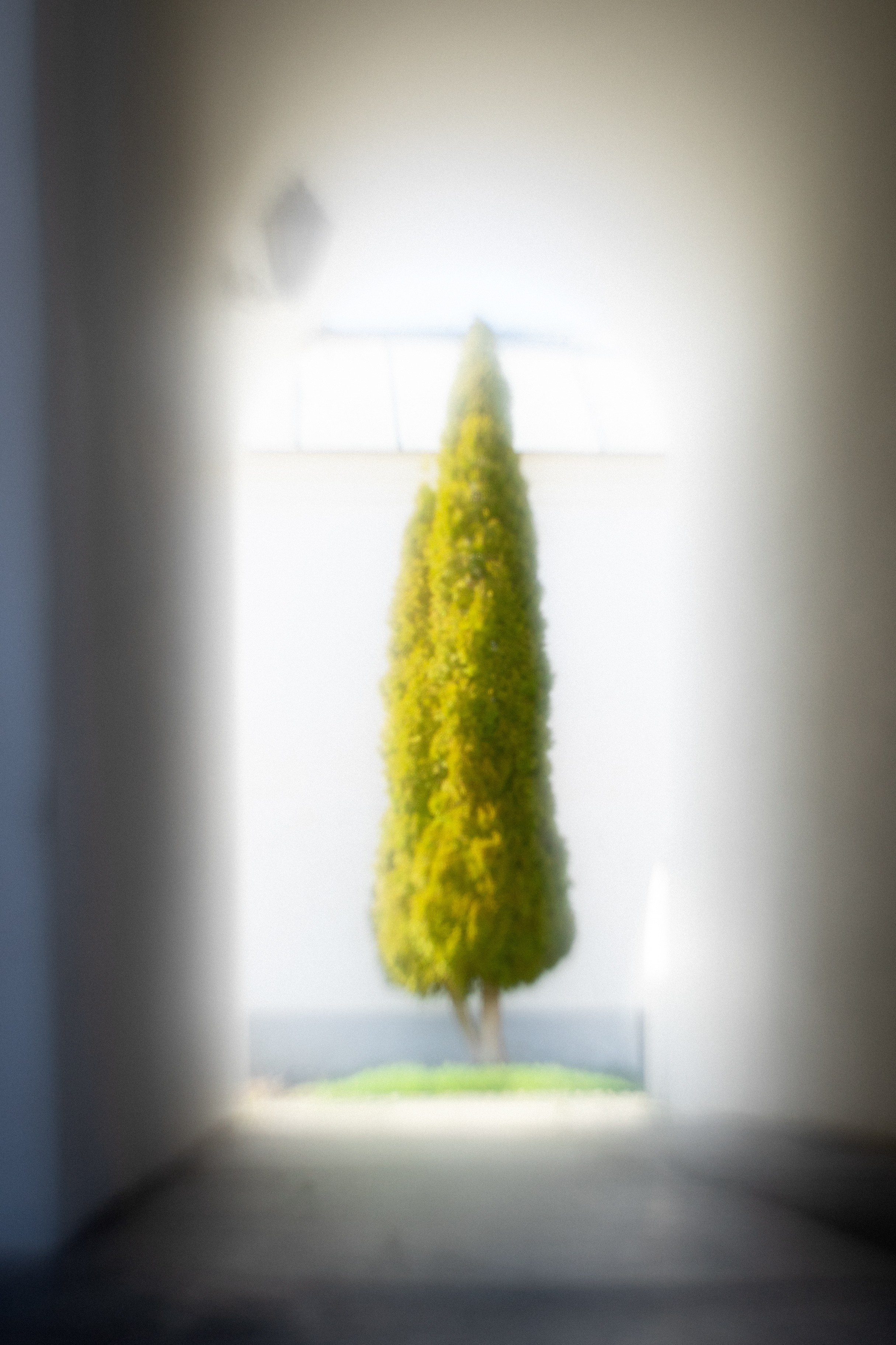 Природа. Трандин Иван Фотограф СПб