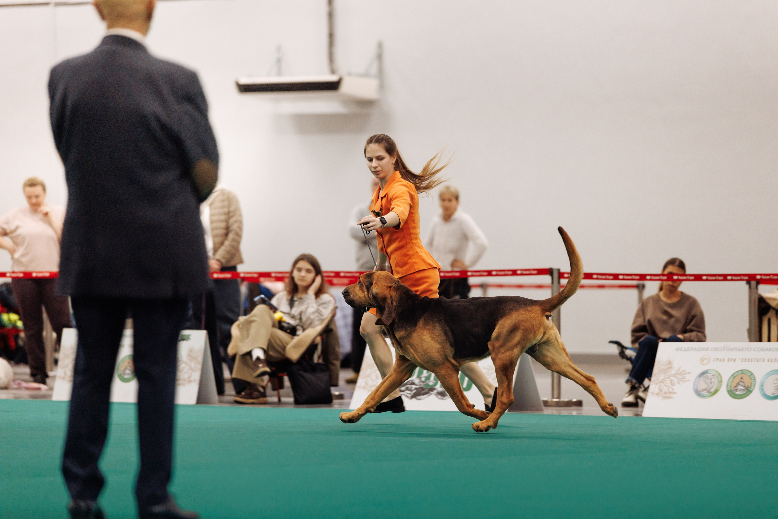 29-30.11.2025 — Казань «Зилант». Фотограф-анималист Саша Вязьмина